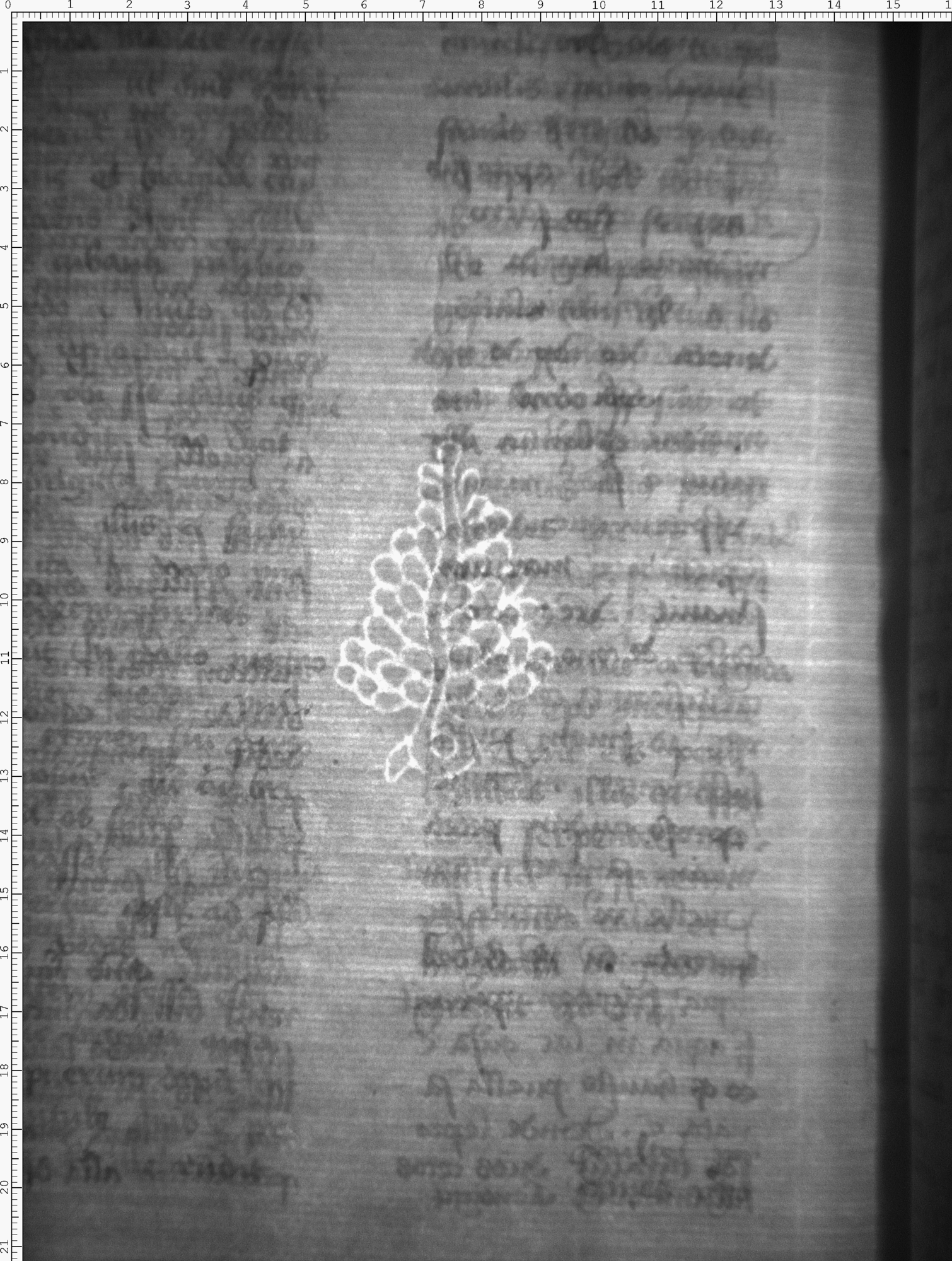 Watermark