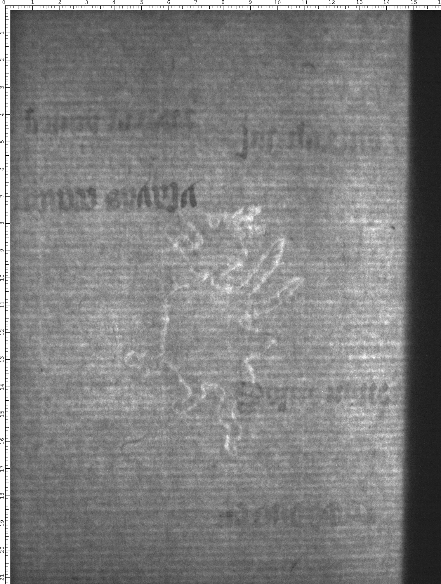 Watermark
