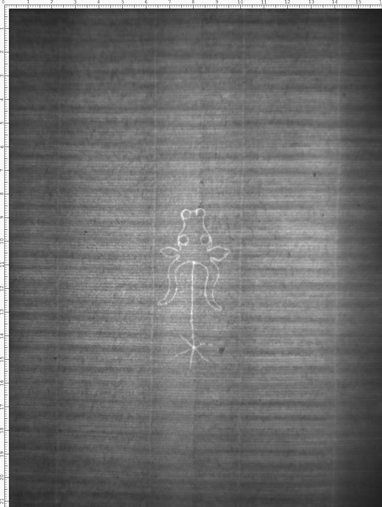 Watermark