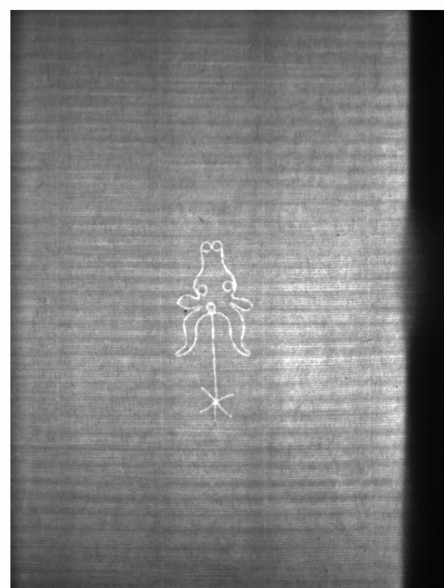 Watermark