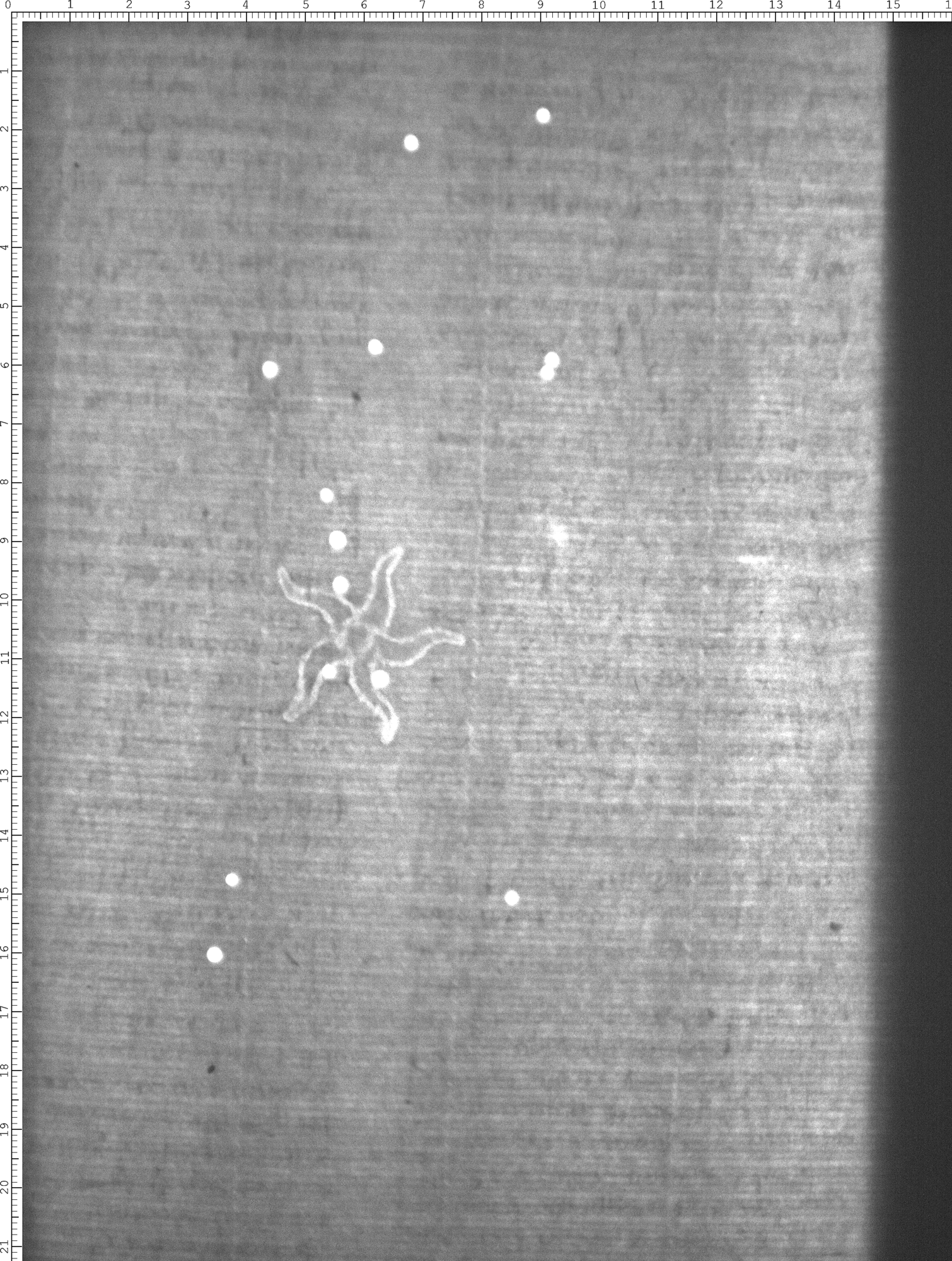 Watermark