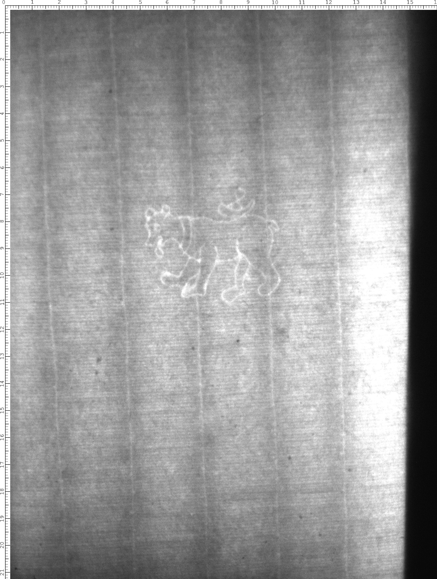 Watermark