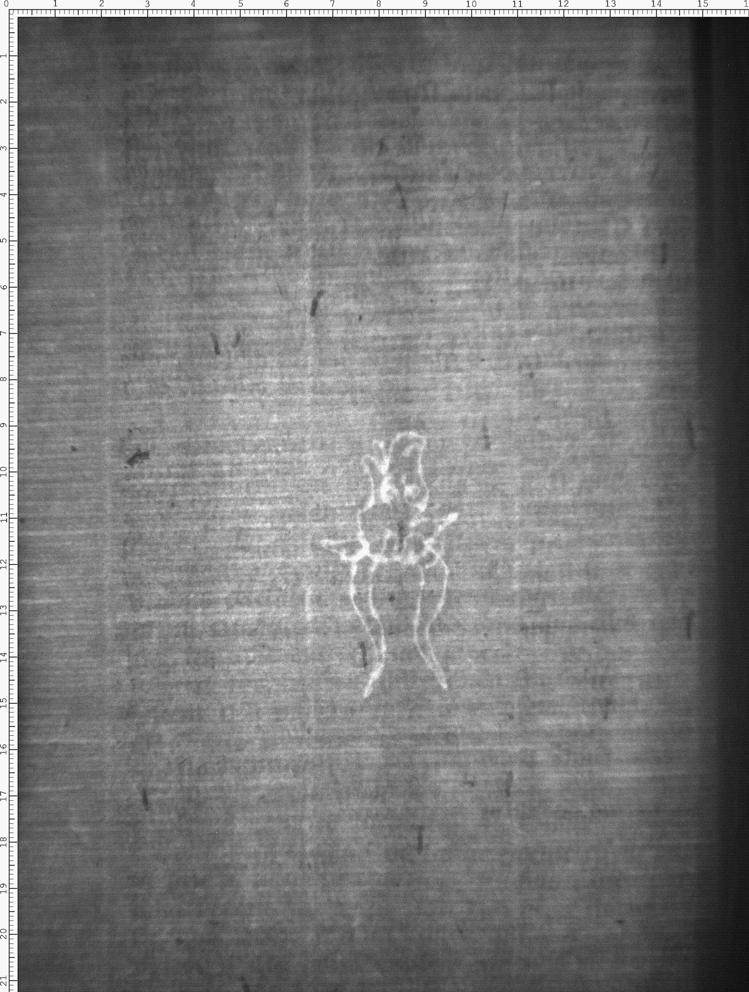 Watermark
