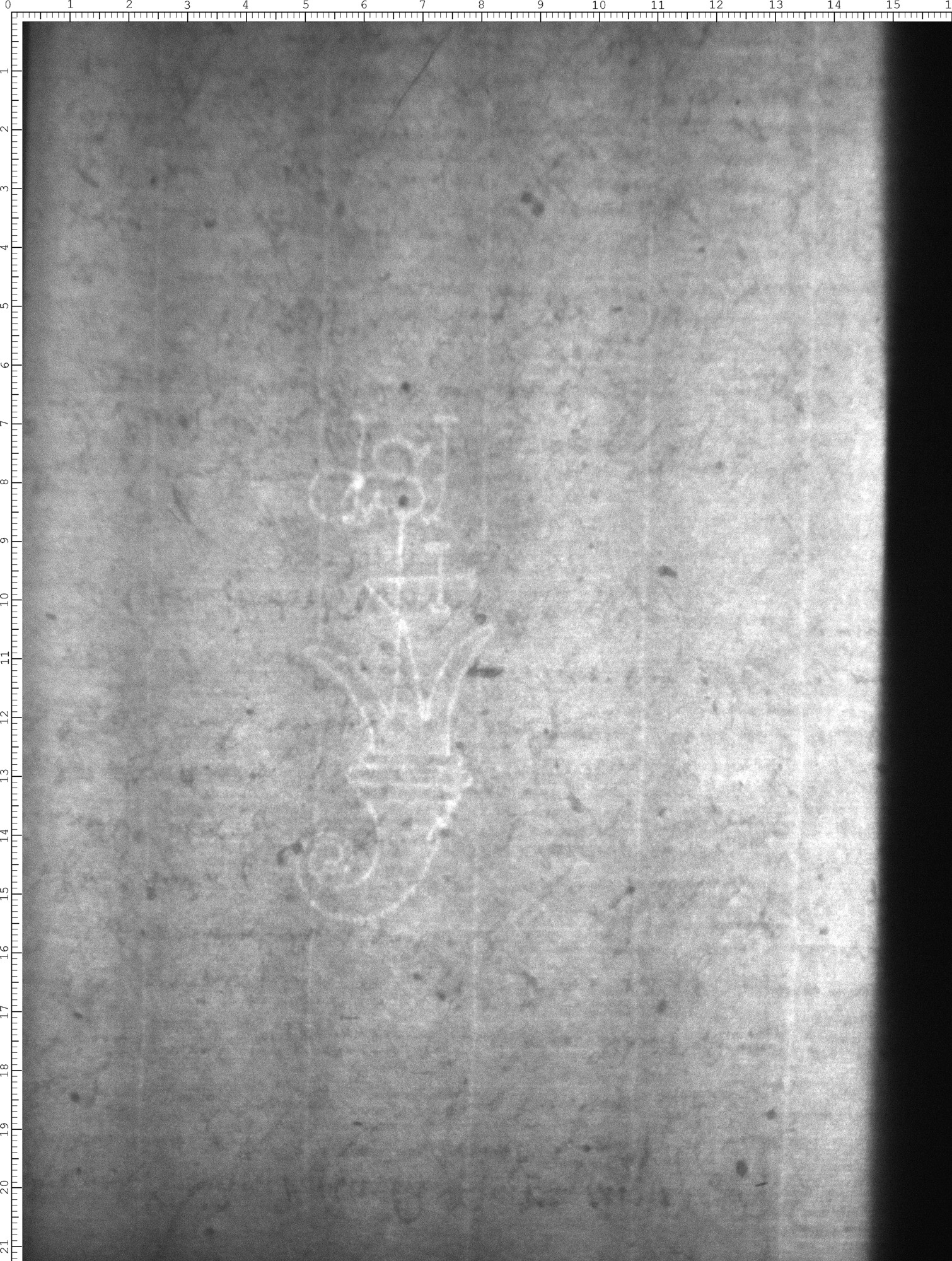Watermark