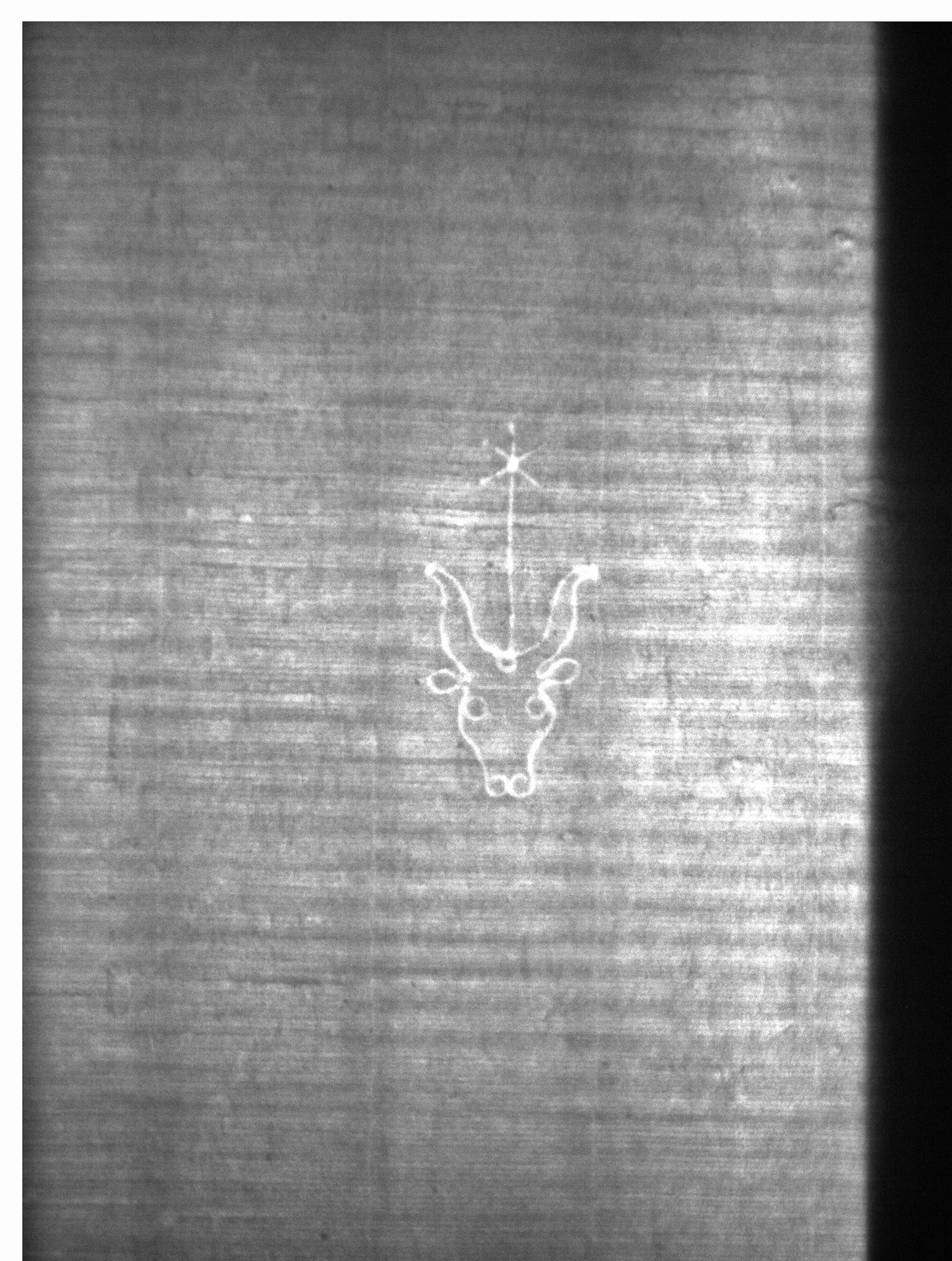 Watermark