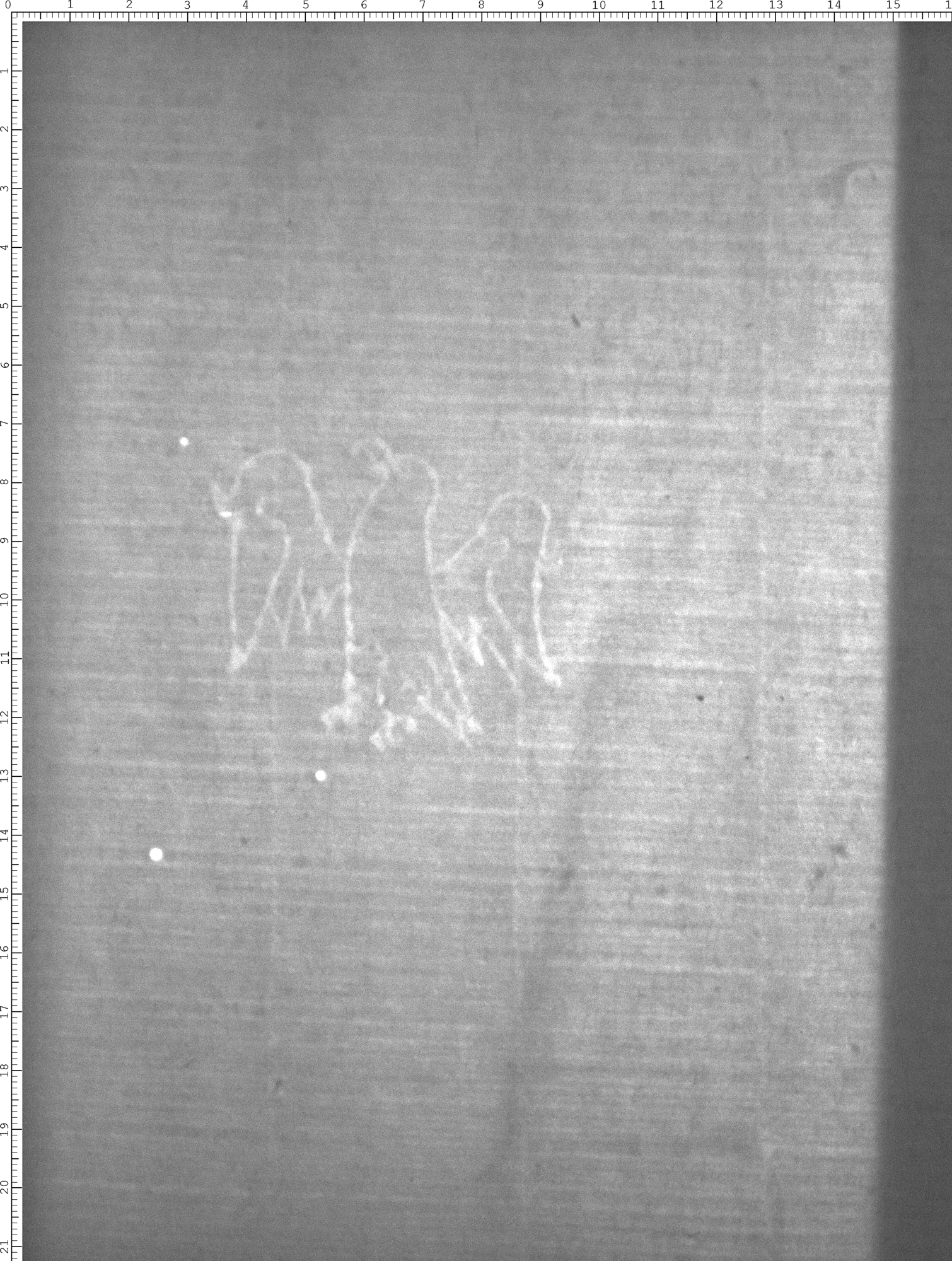 Watermark
