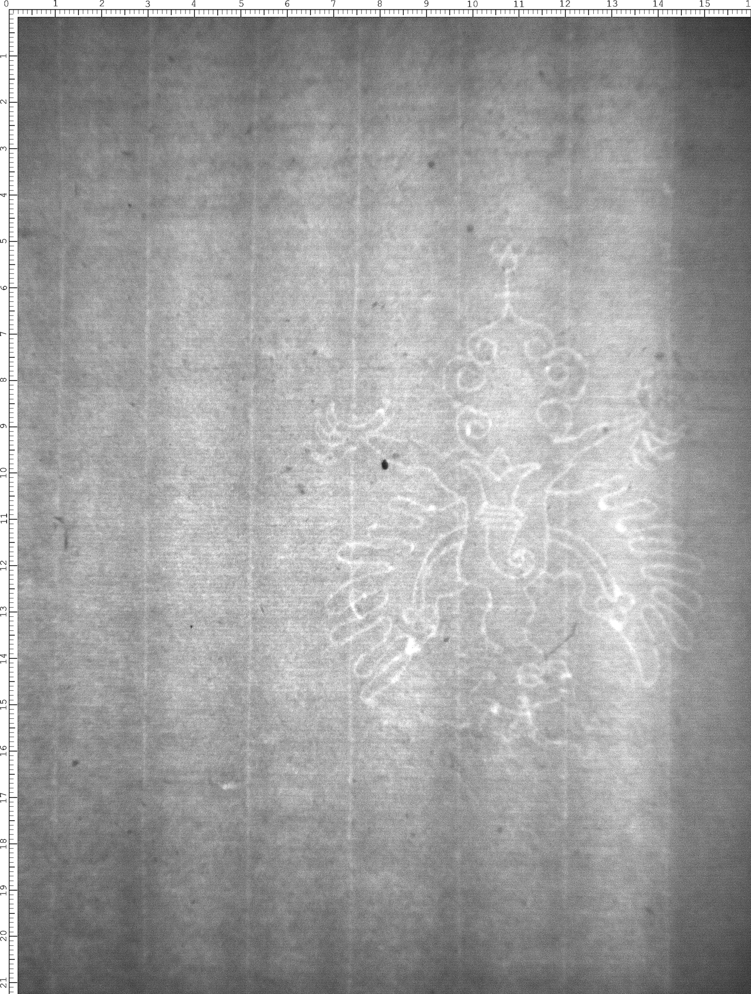 Watermark