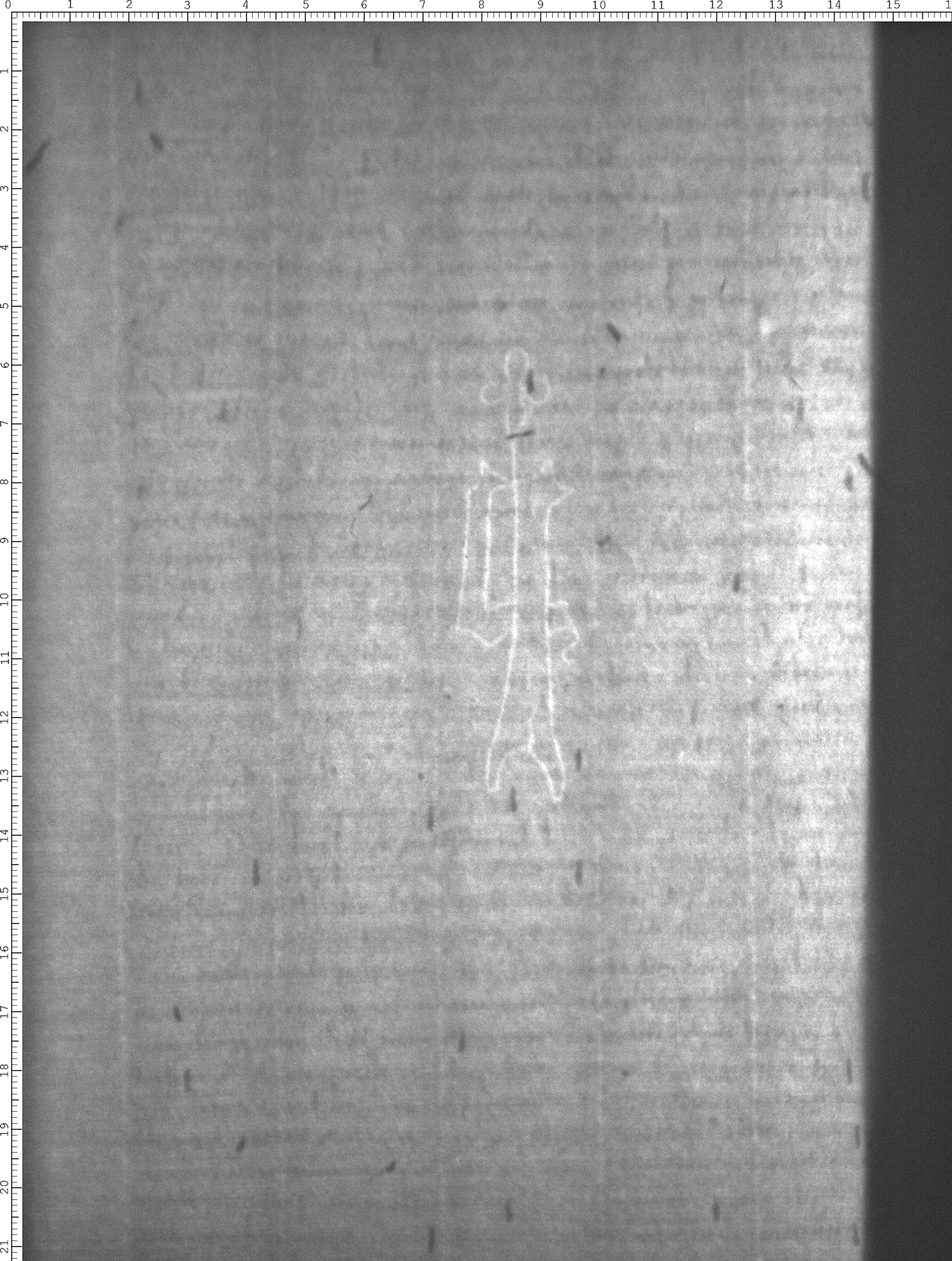 Watermark
