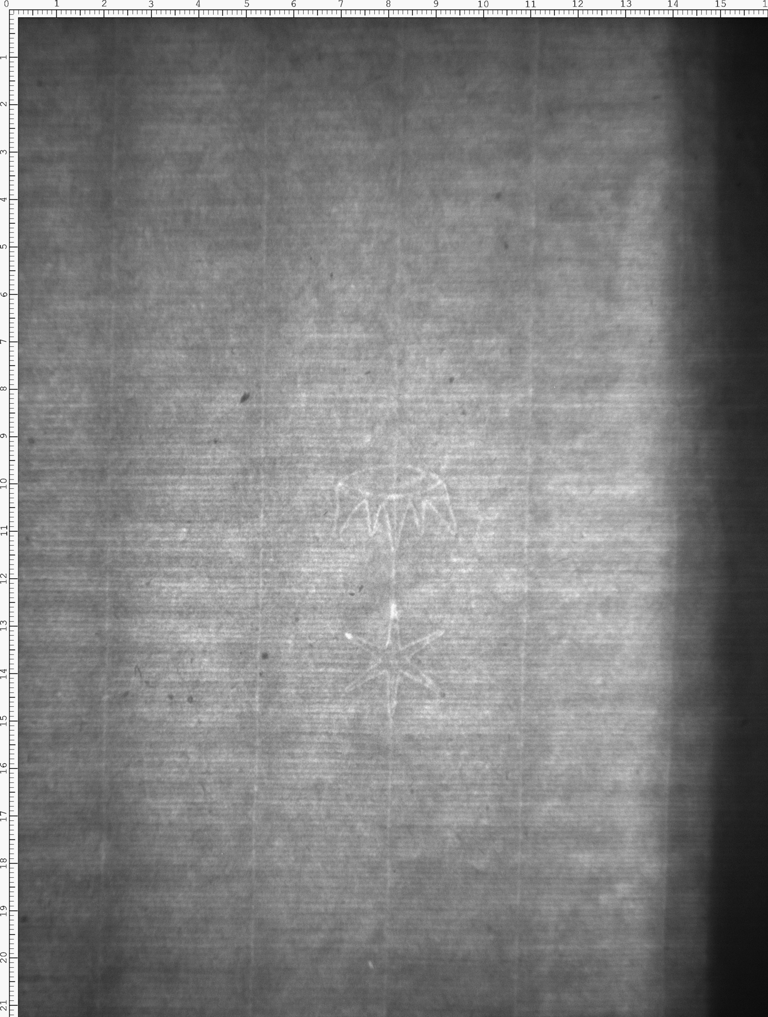 Watermark