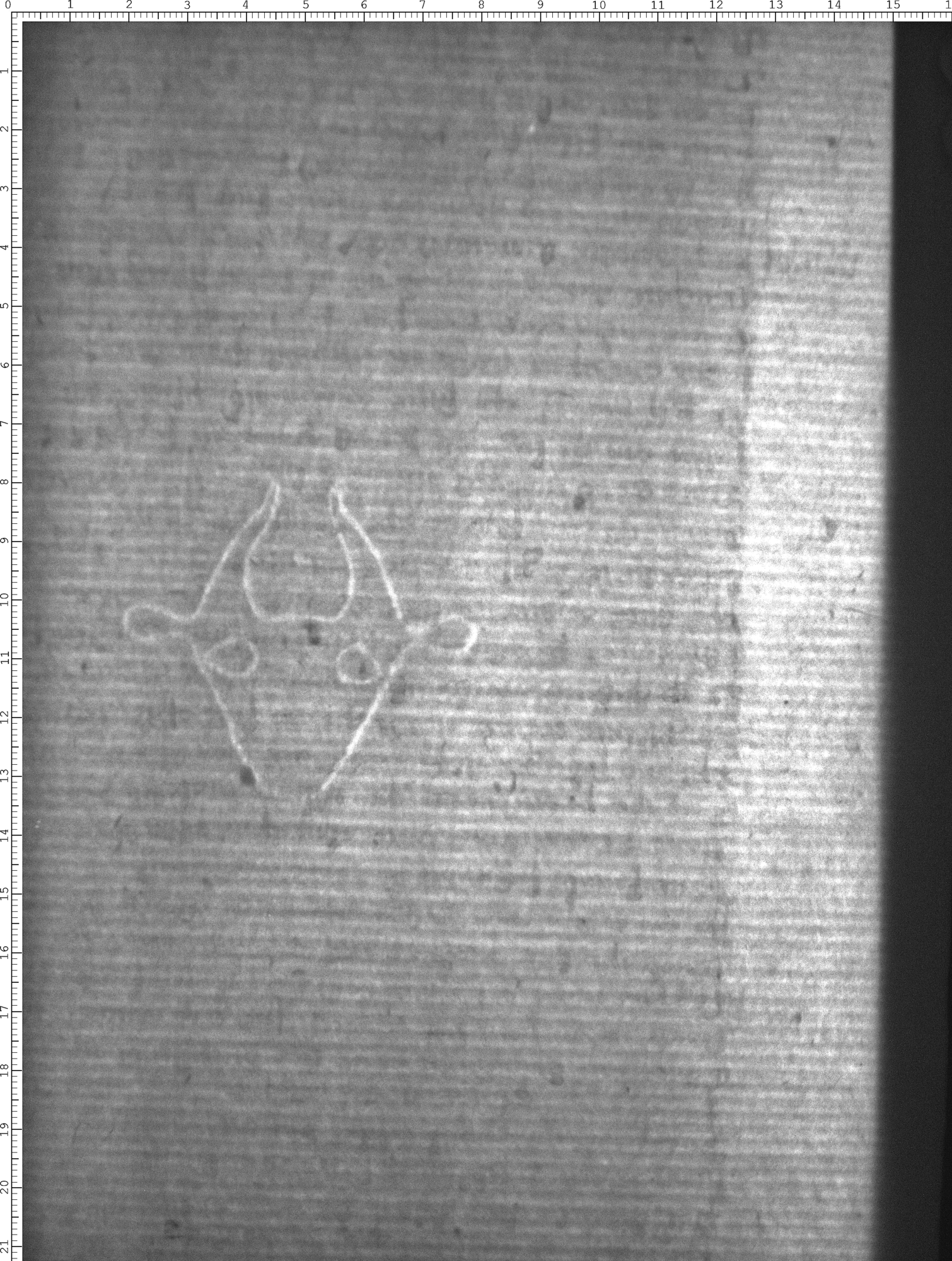 Watermark