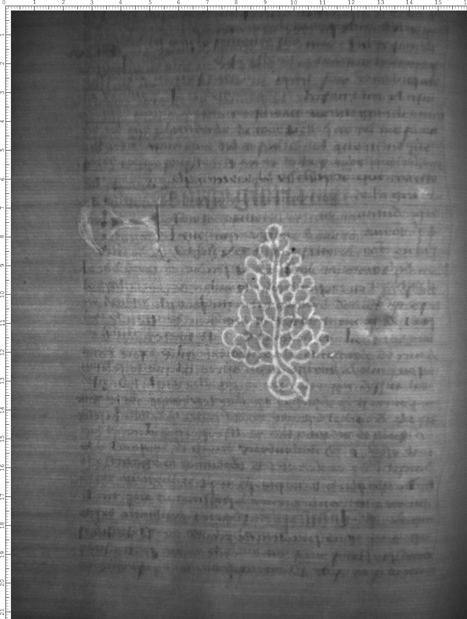 Watermark