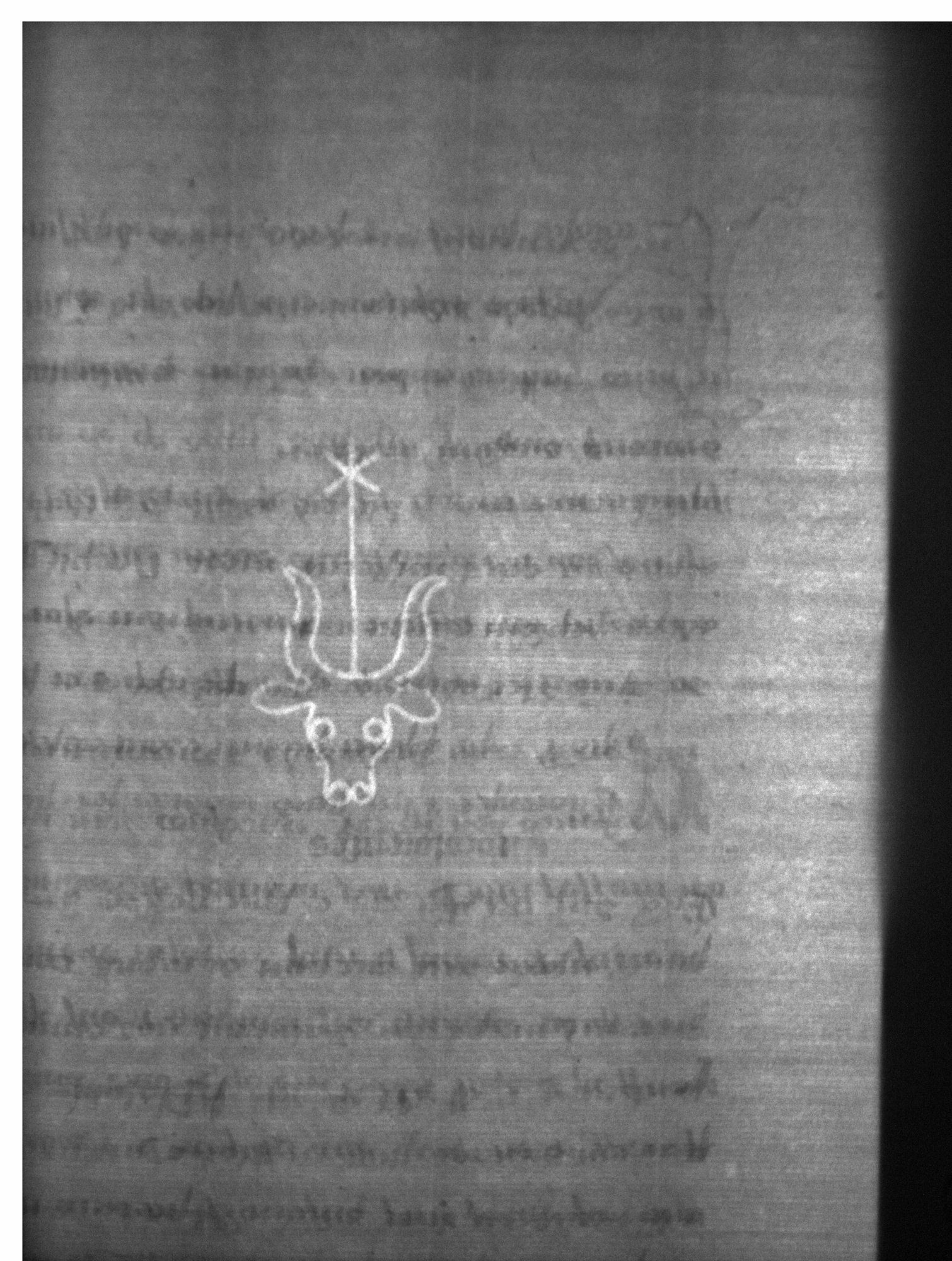 Watermark
