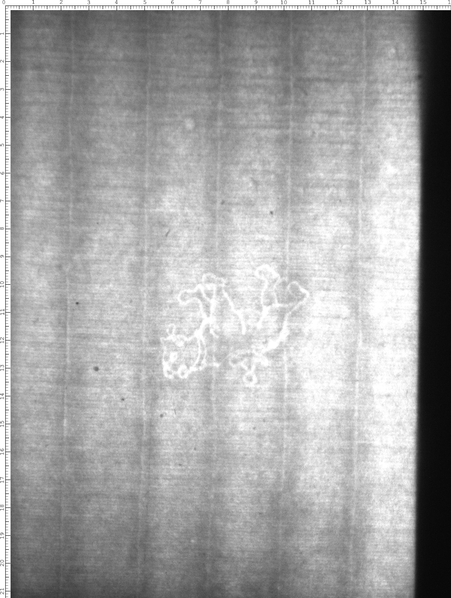 Watermark
