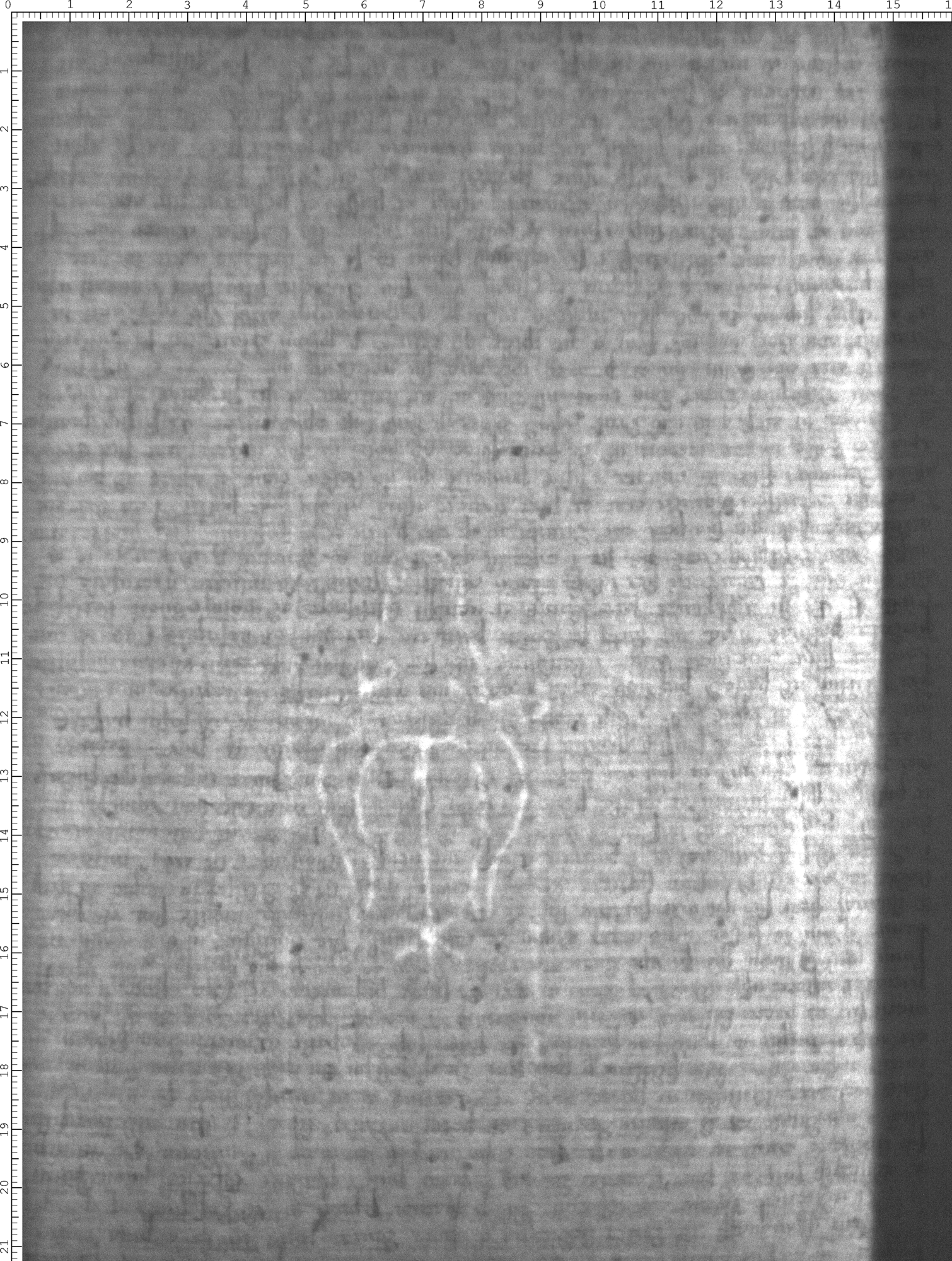 Watermark
