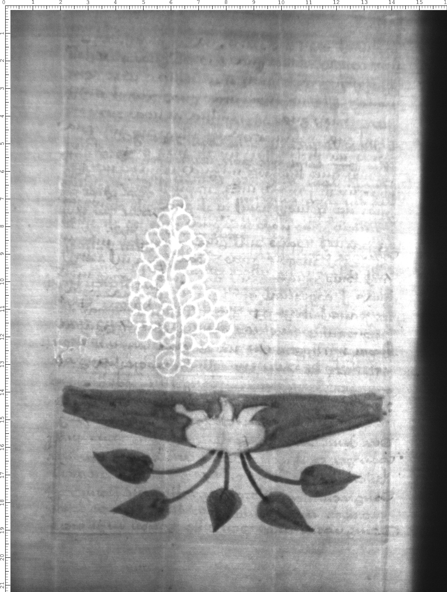 Watermark