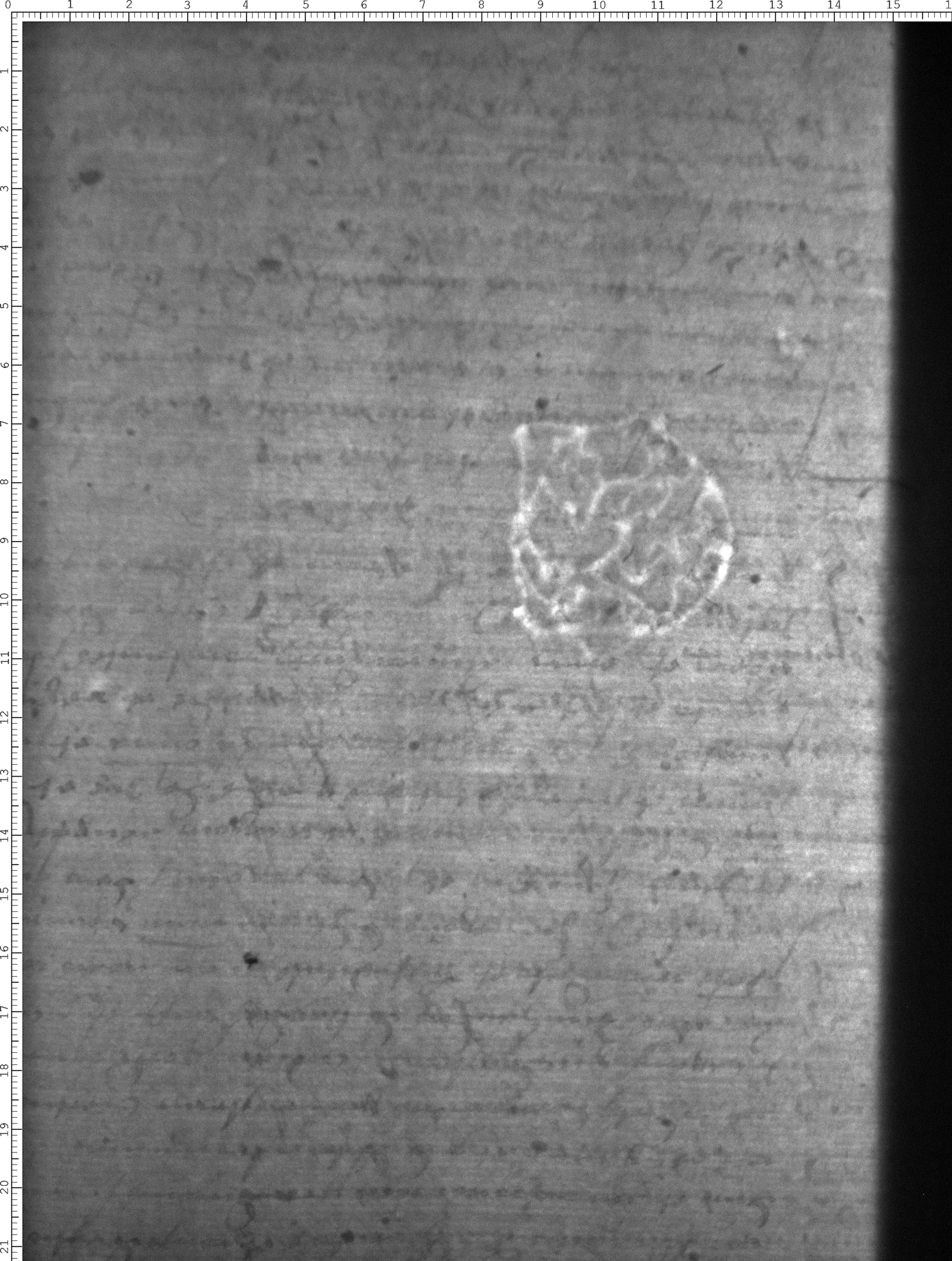 Watermark