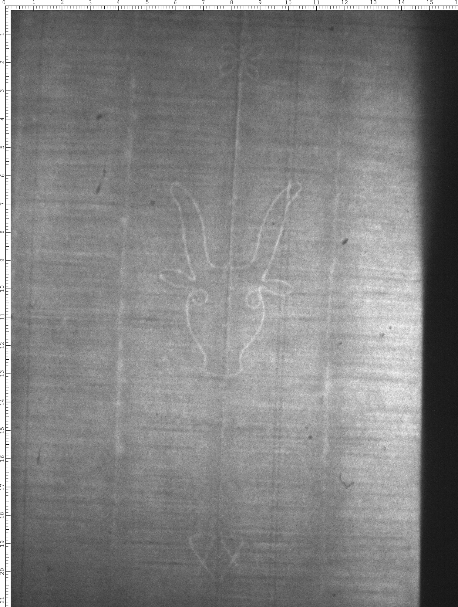 Watermark