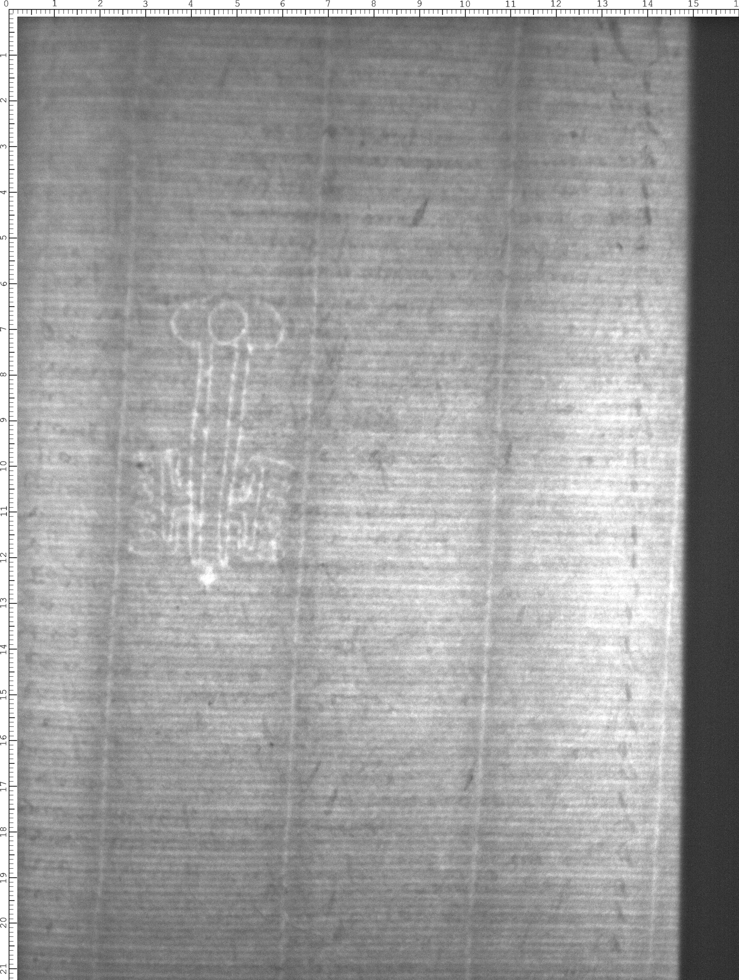 Watermark
