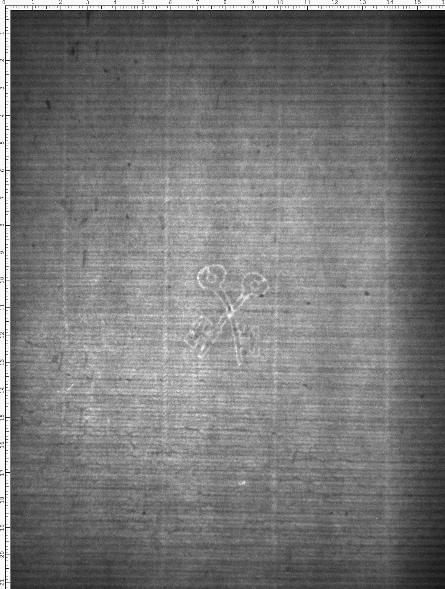 Watermark