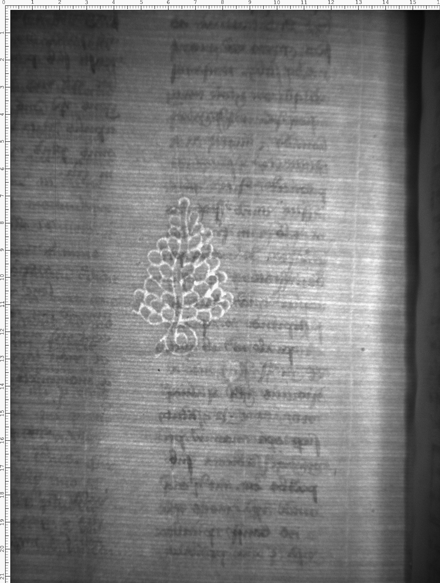 Watermark