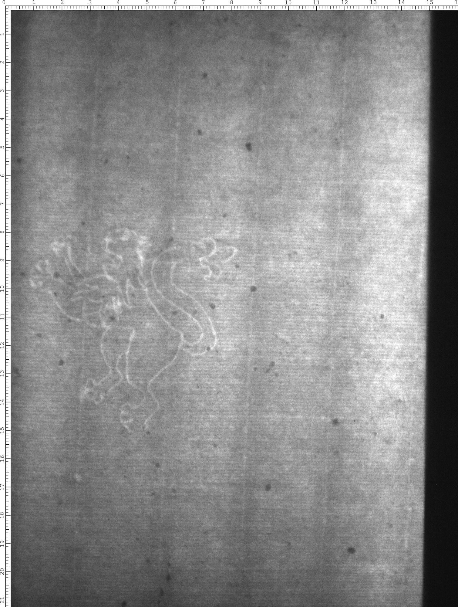 Watermark