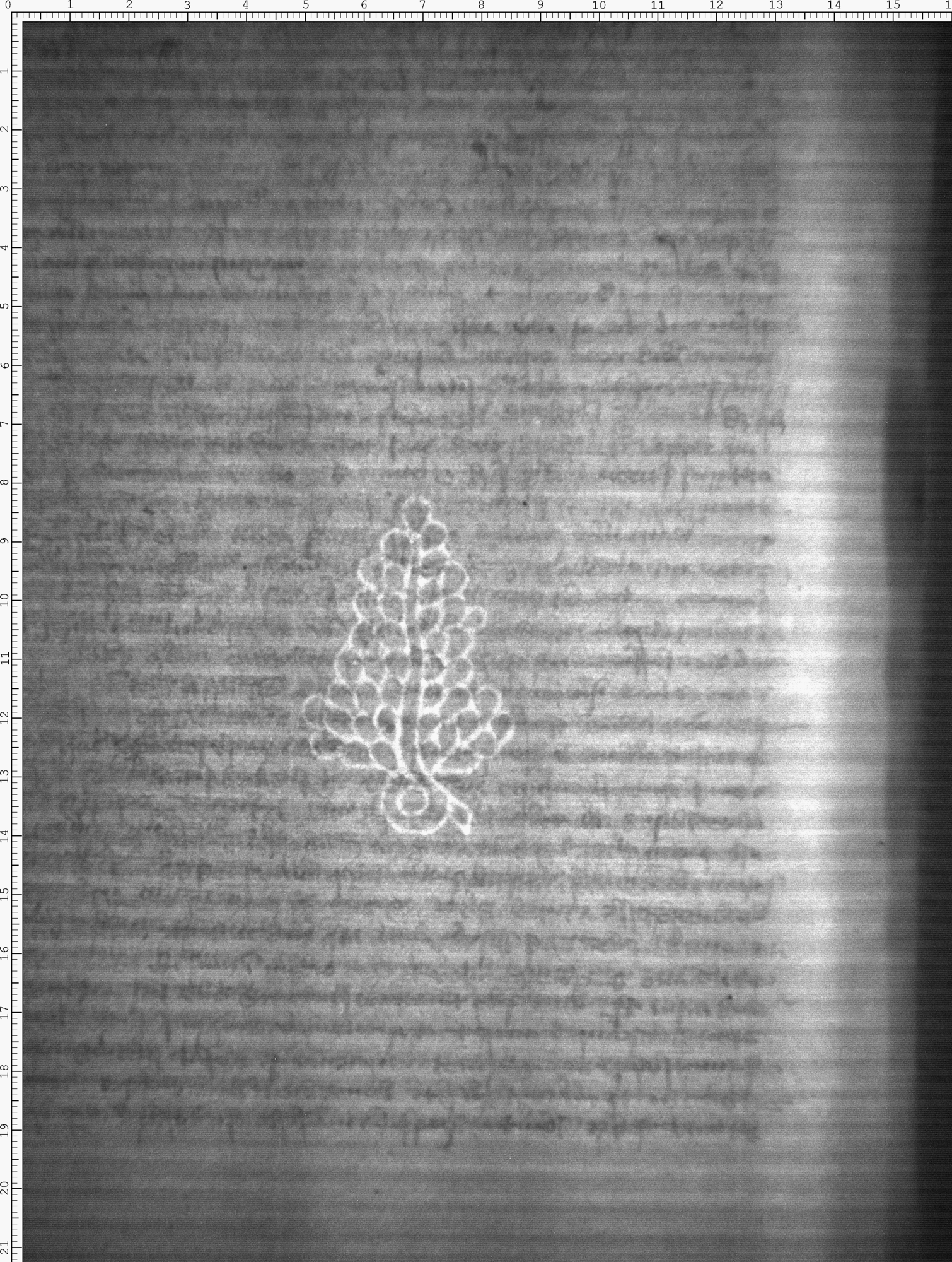 Watermark