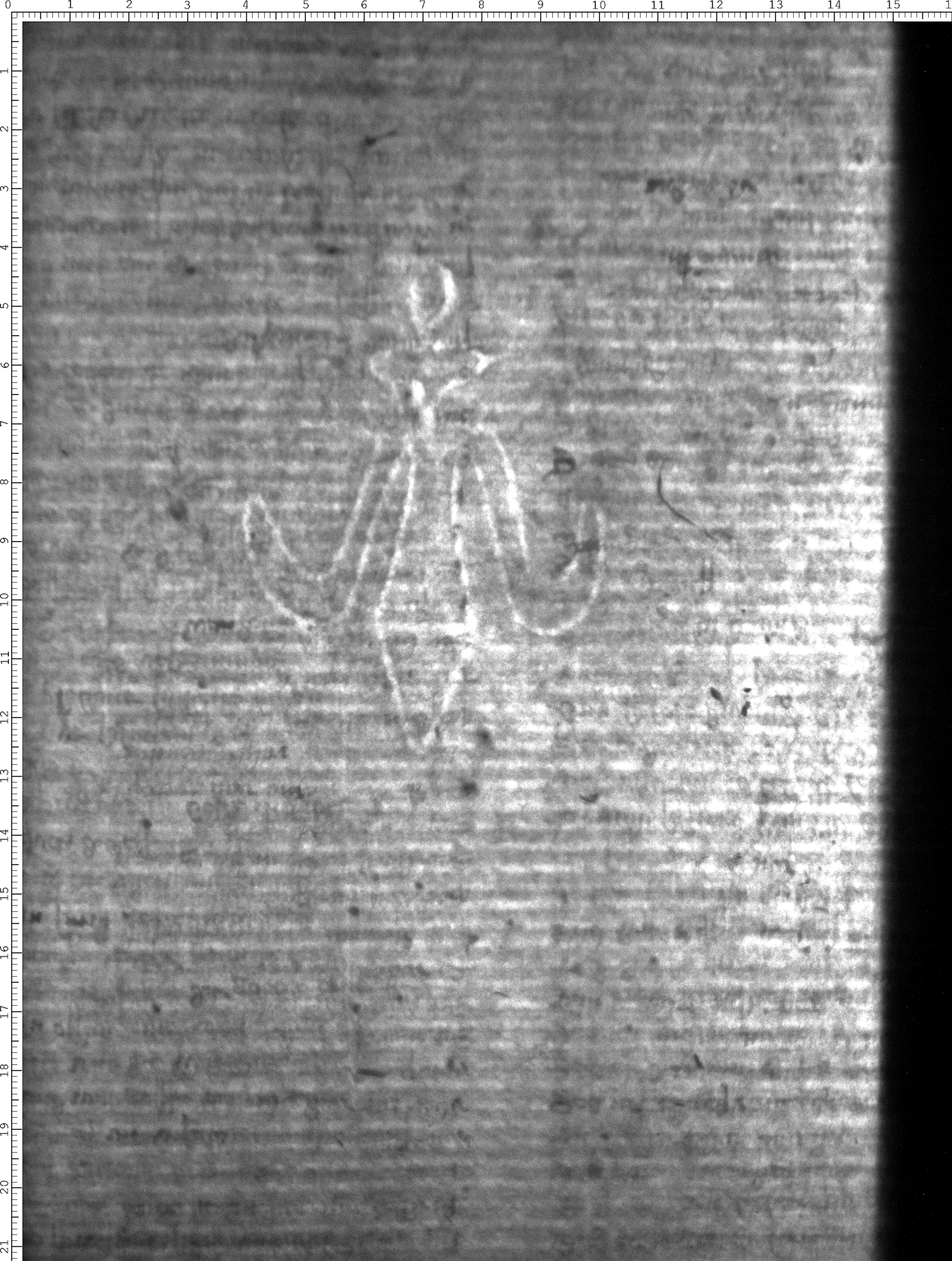 Watermark