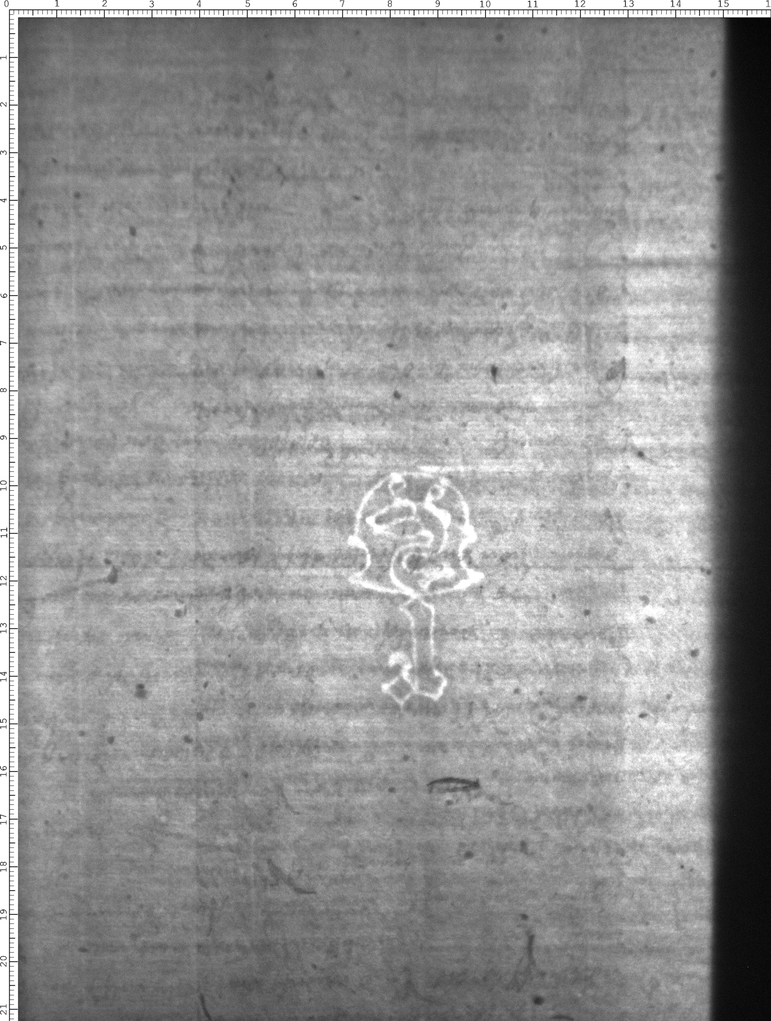 Watermark