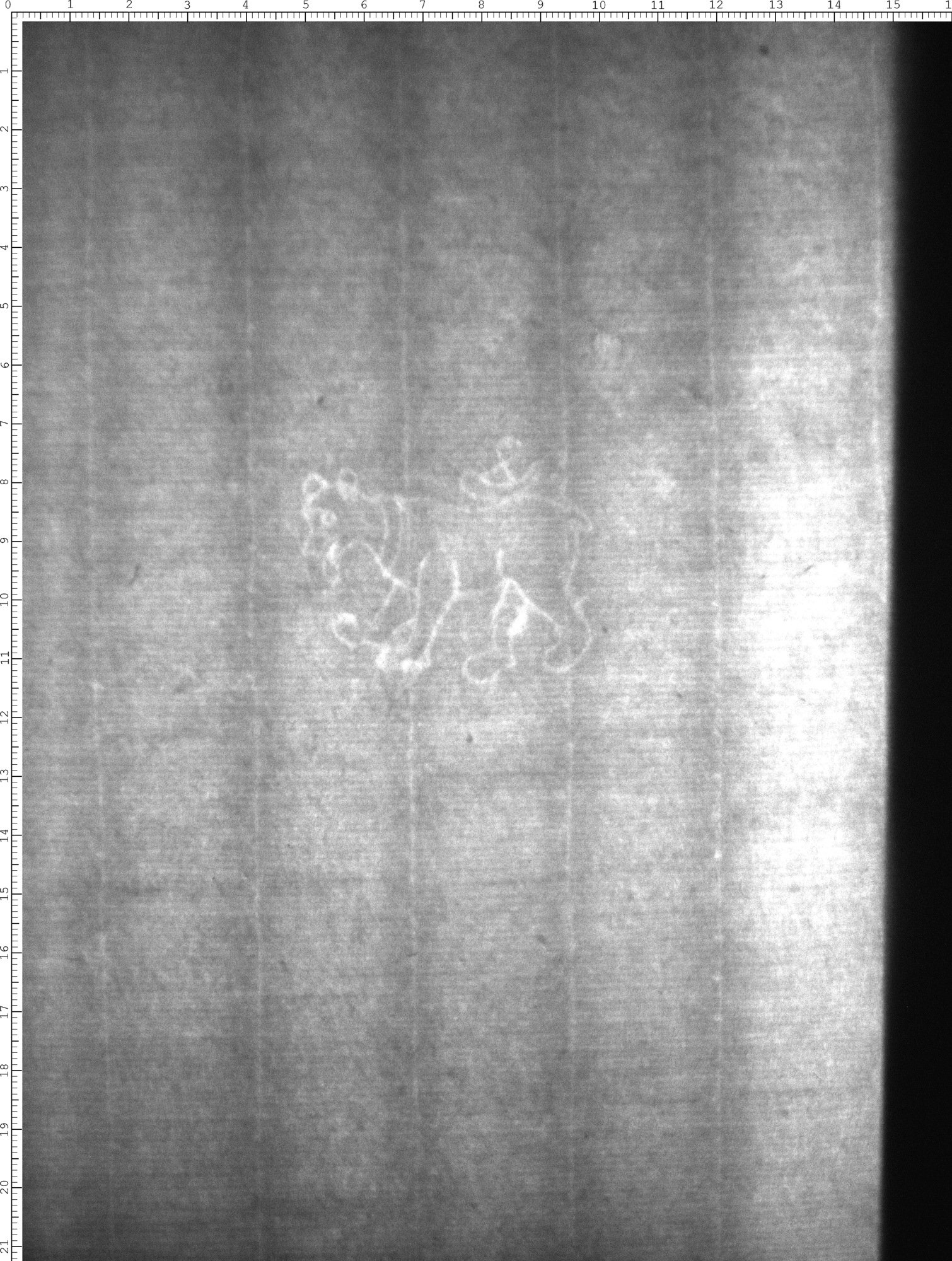 Watermark