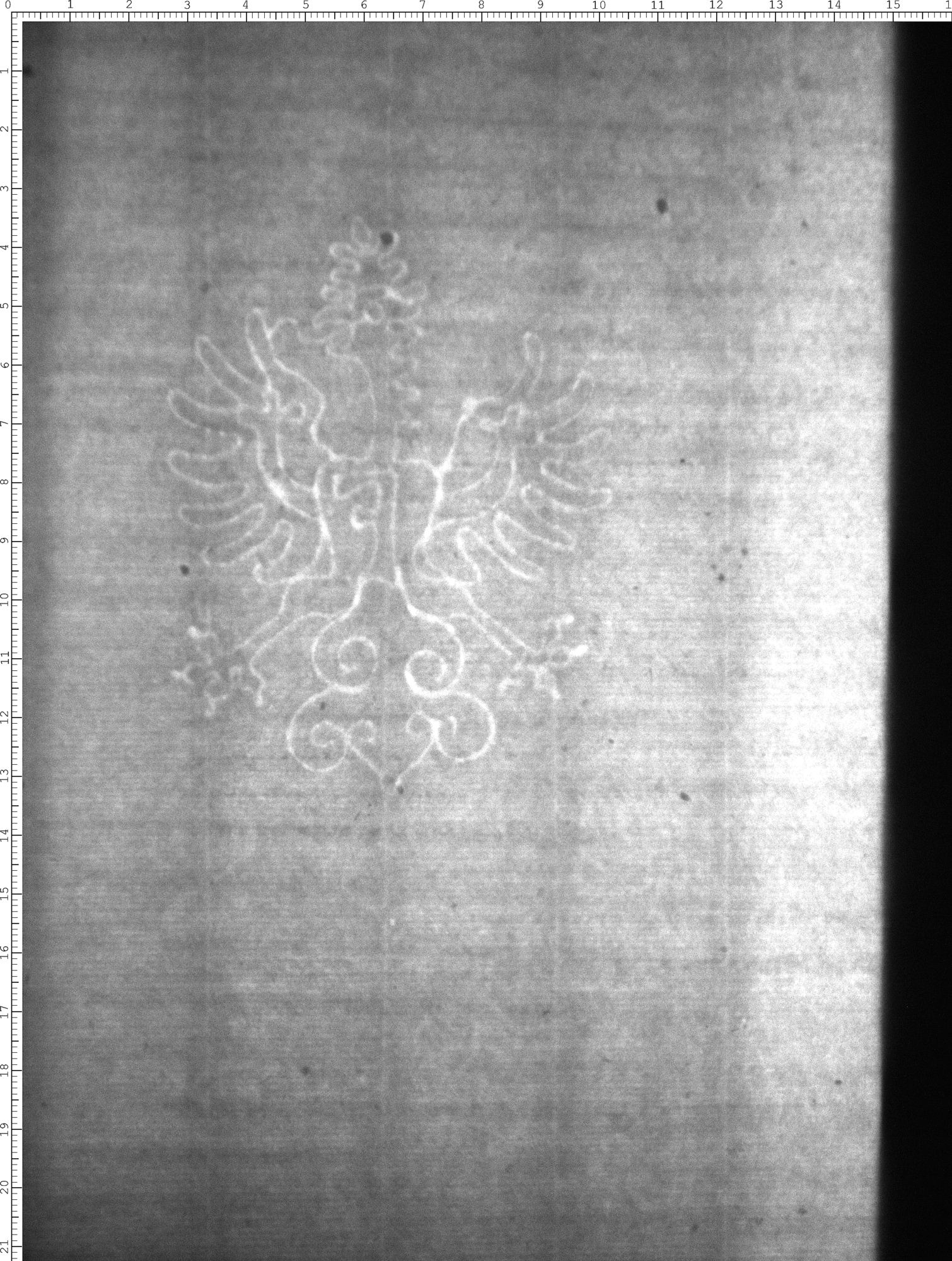 Watermark