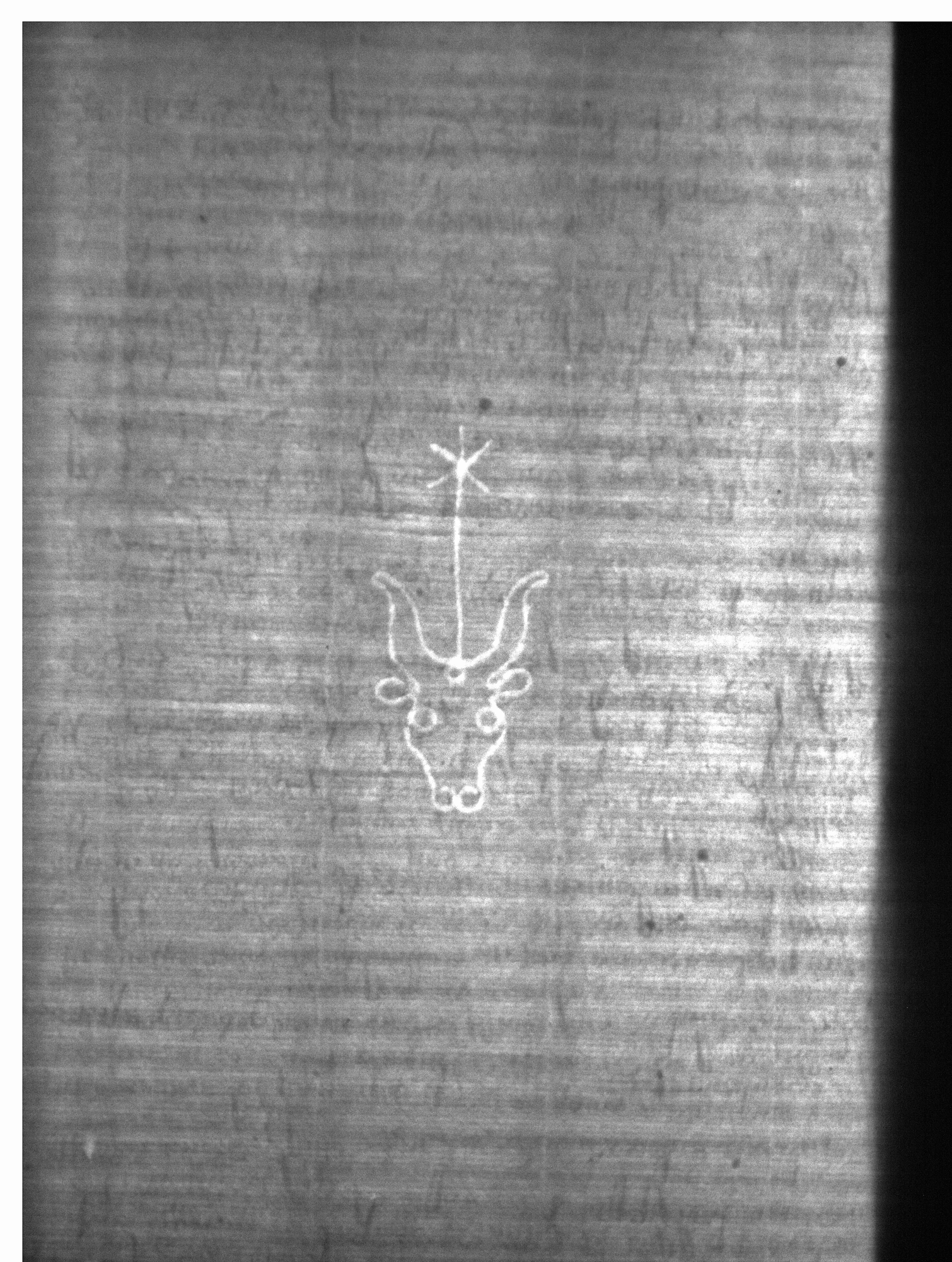 Watermark