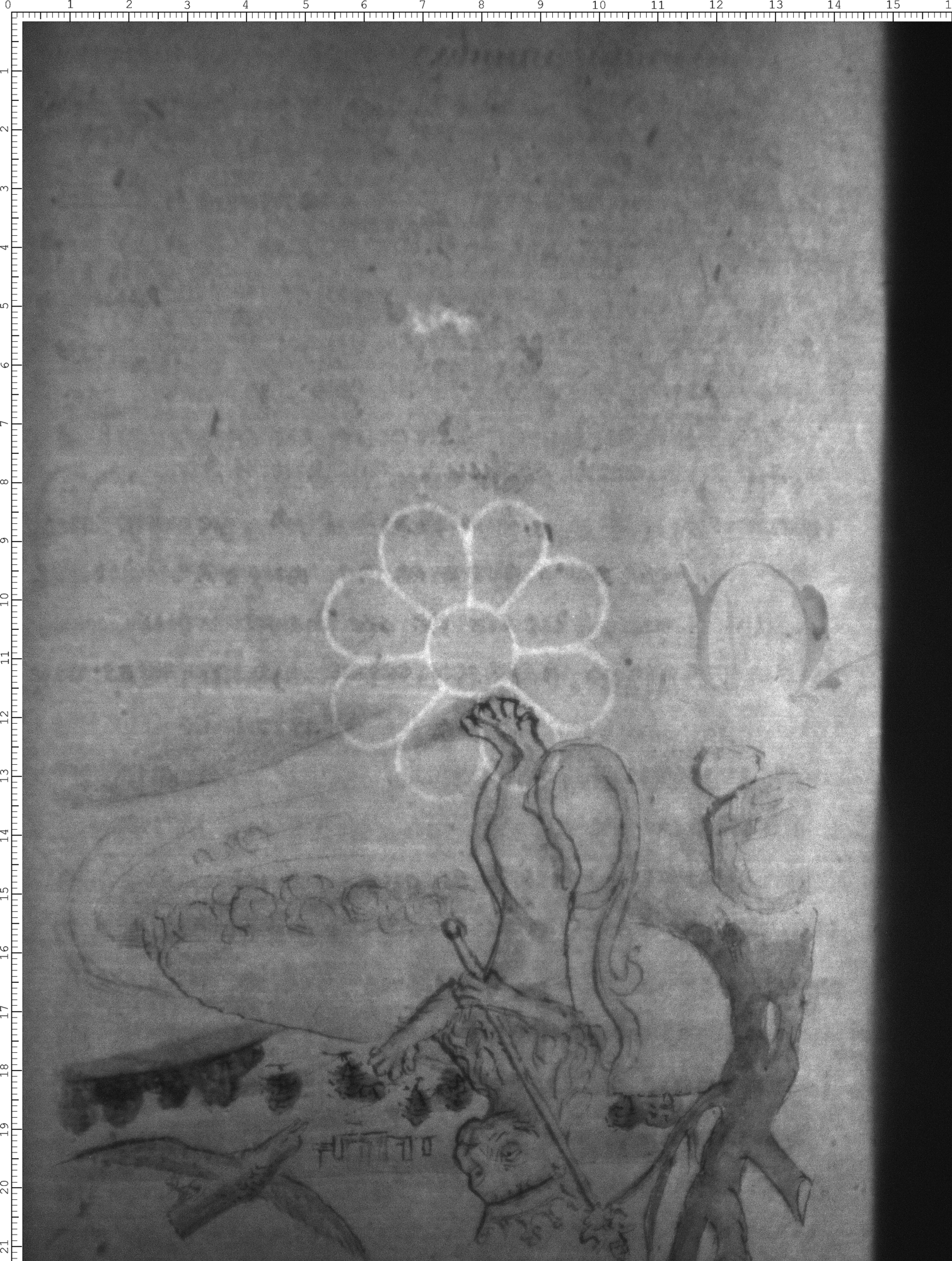 Watermark