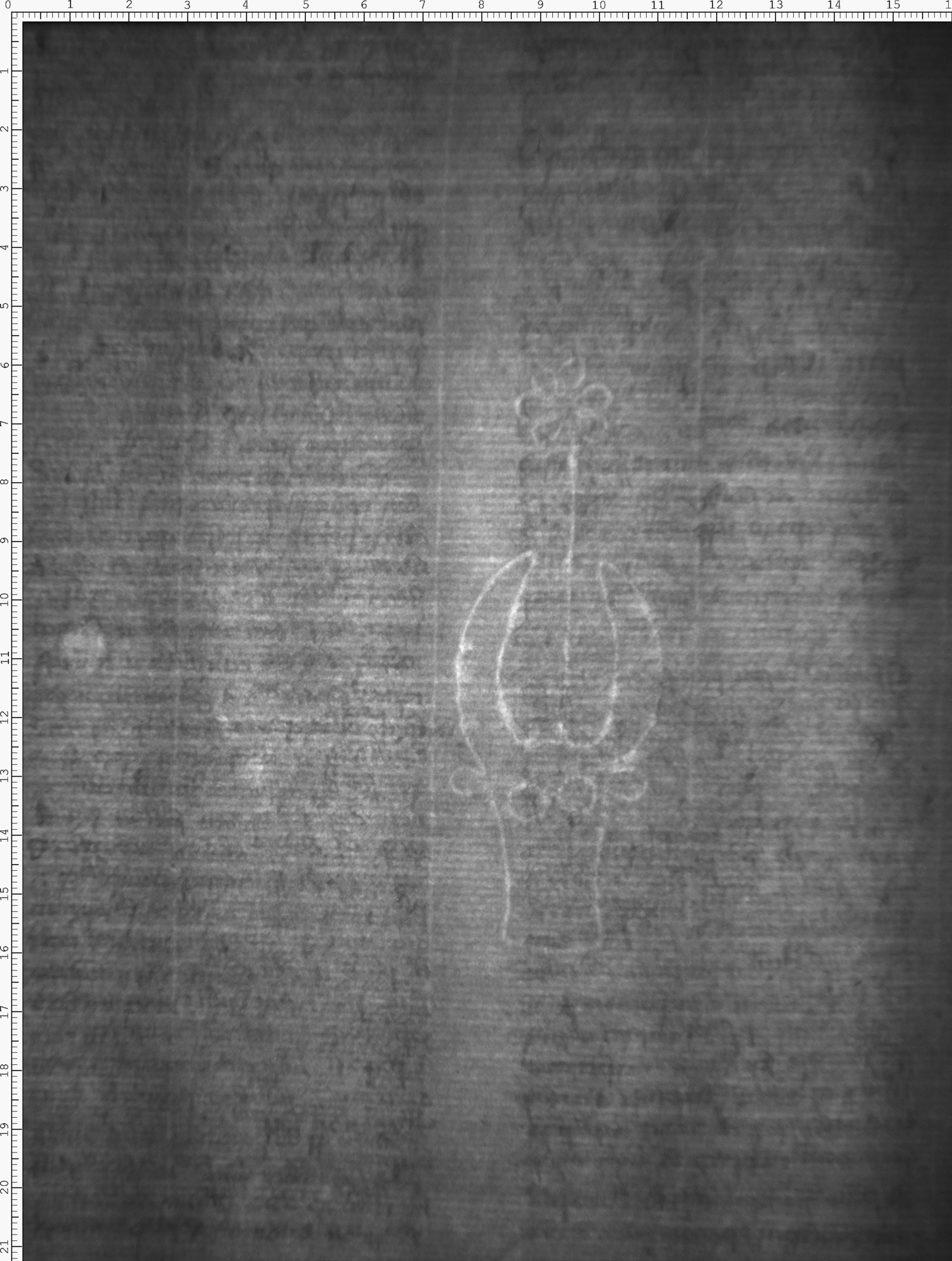 Watermark
