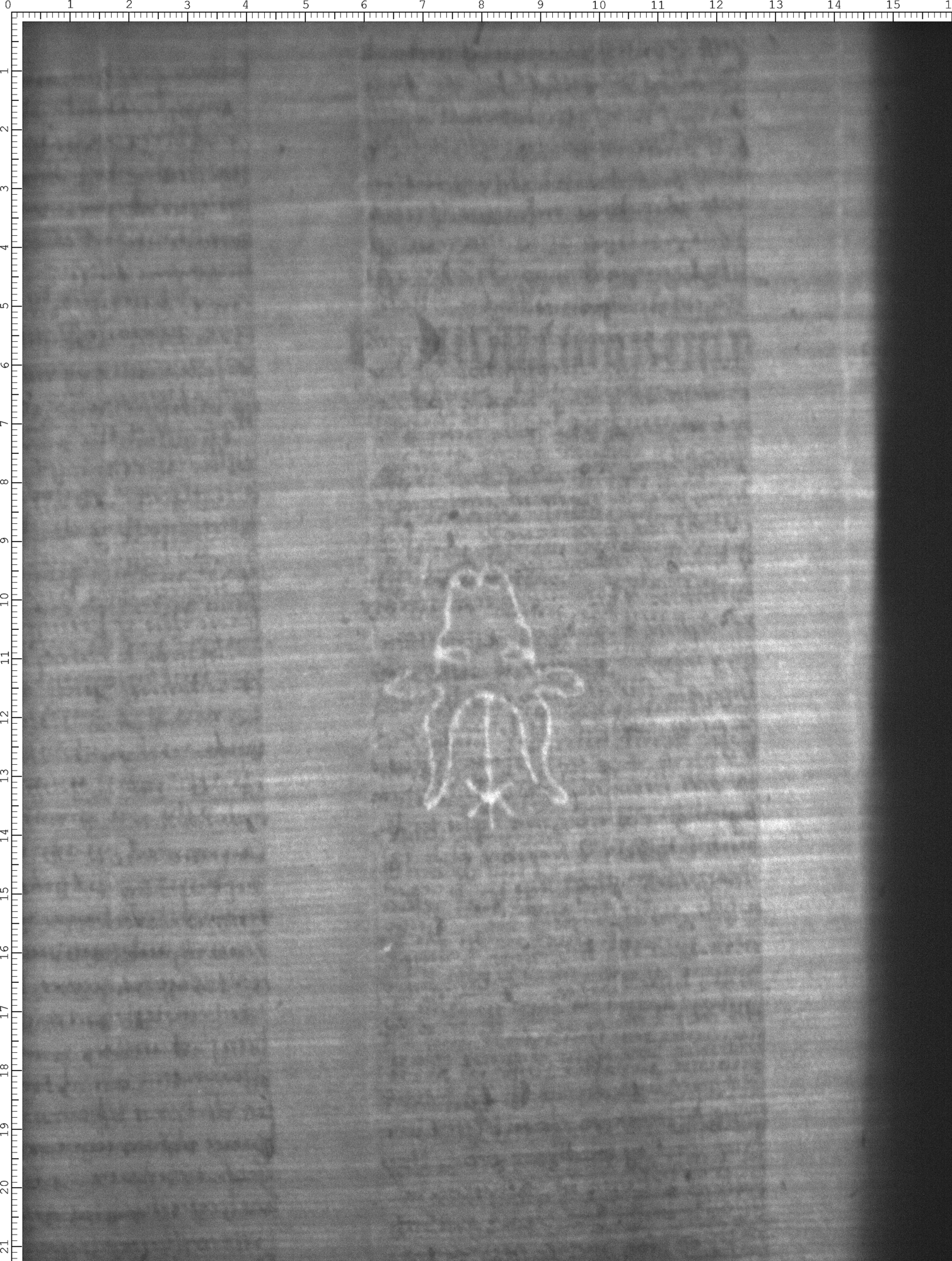 Watermark