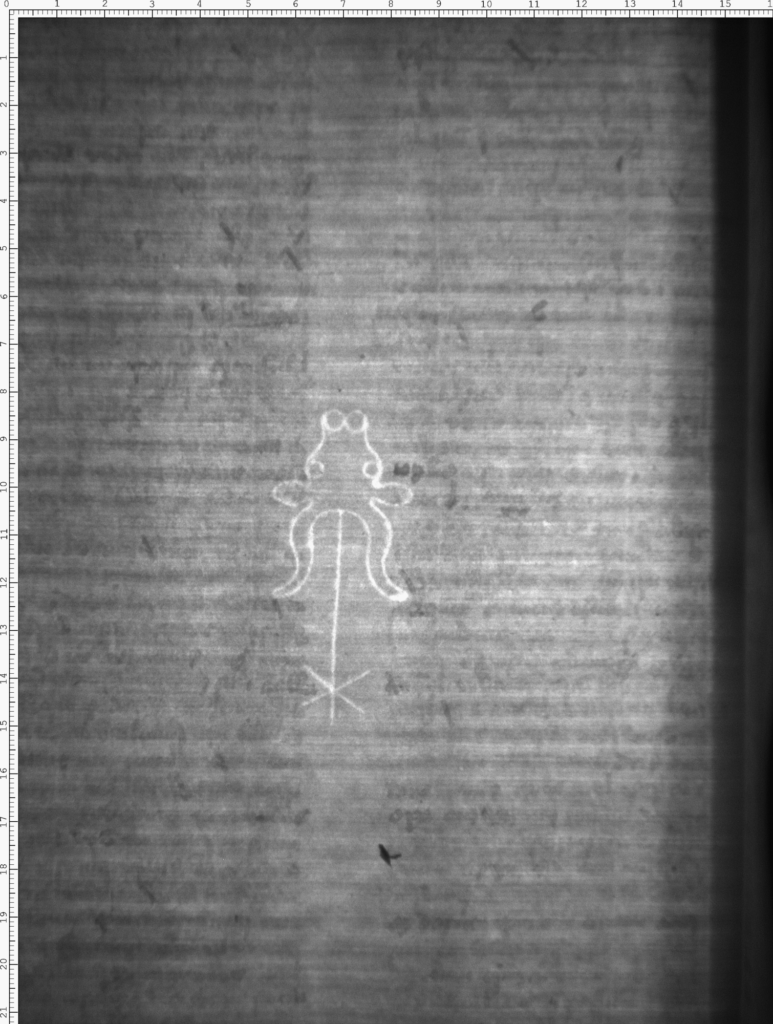 Watermark