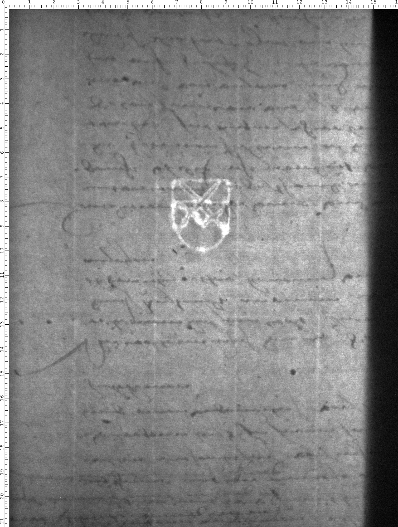 Watermark