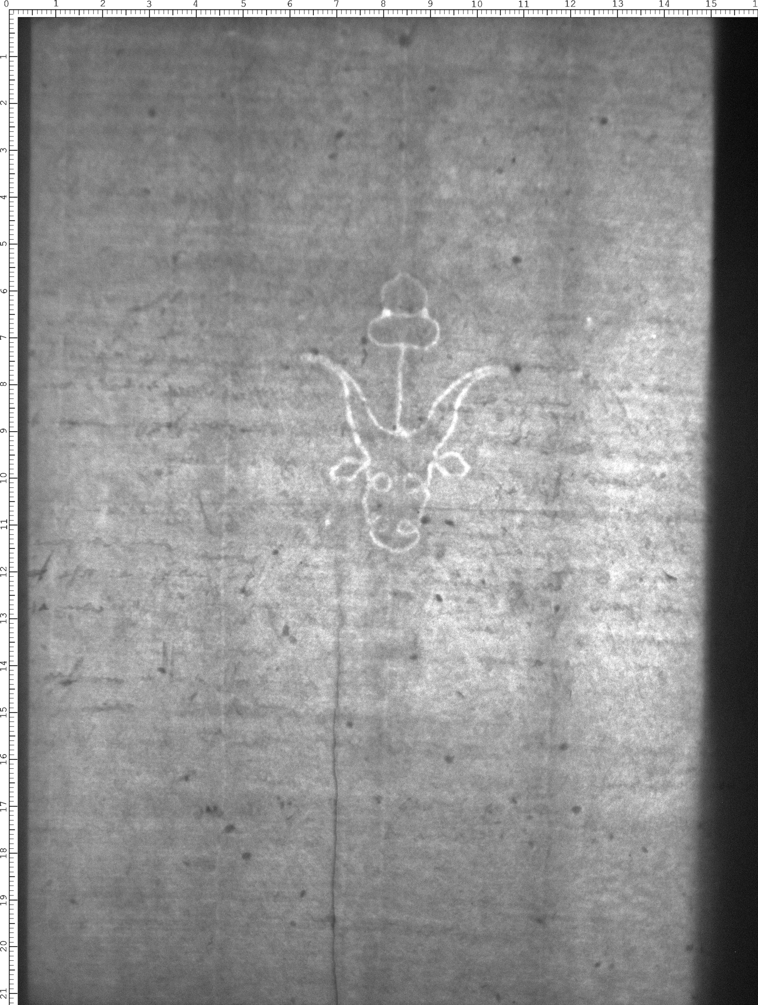 Watermark