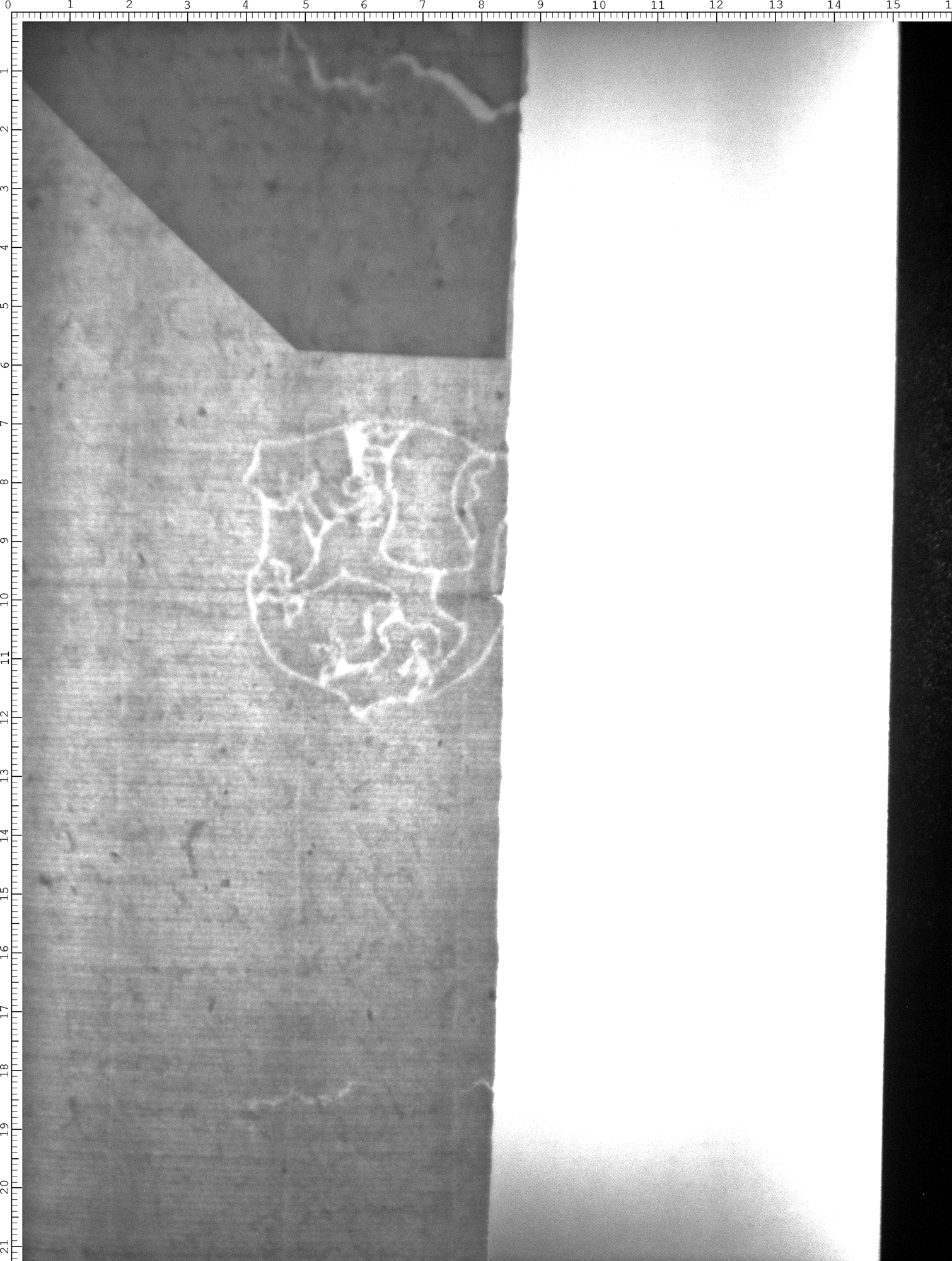 Watermark