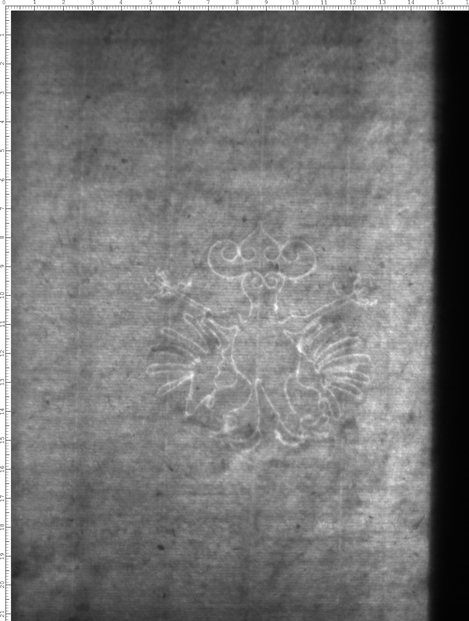 Watermark