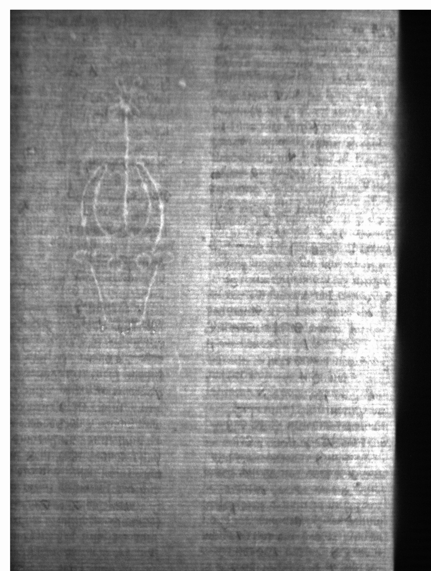 Watermark