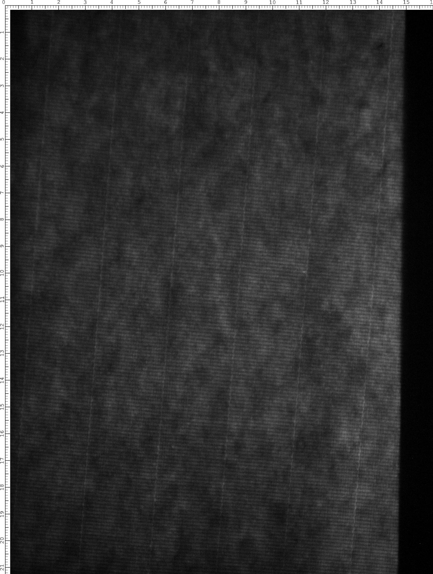 Watermark