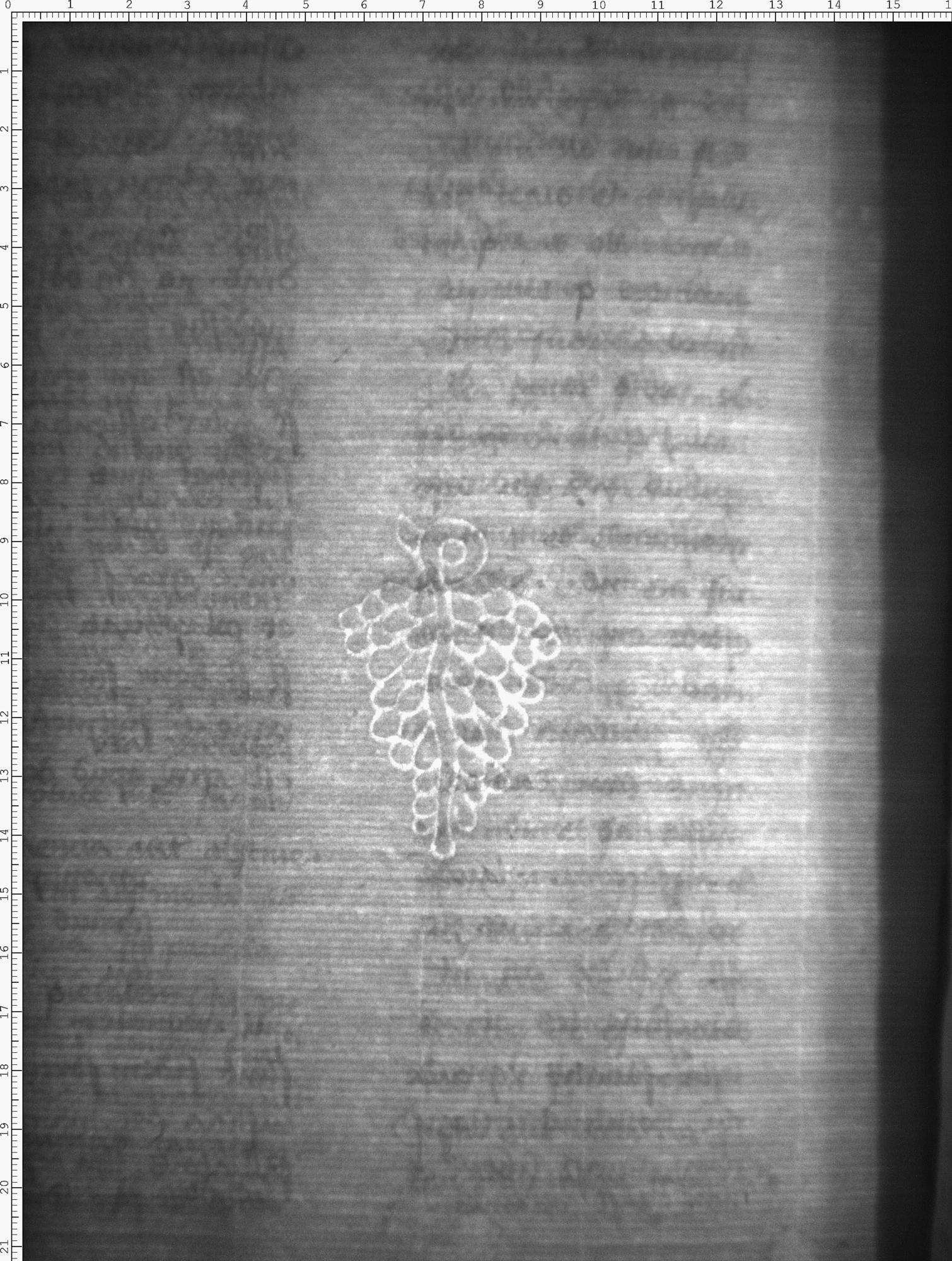 Watermark