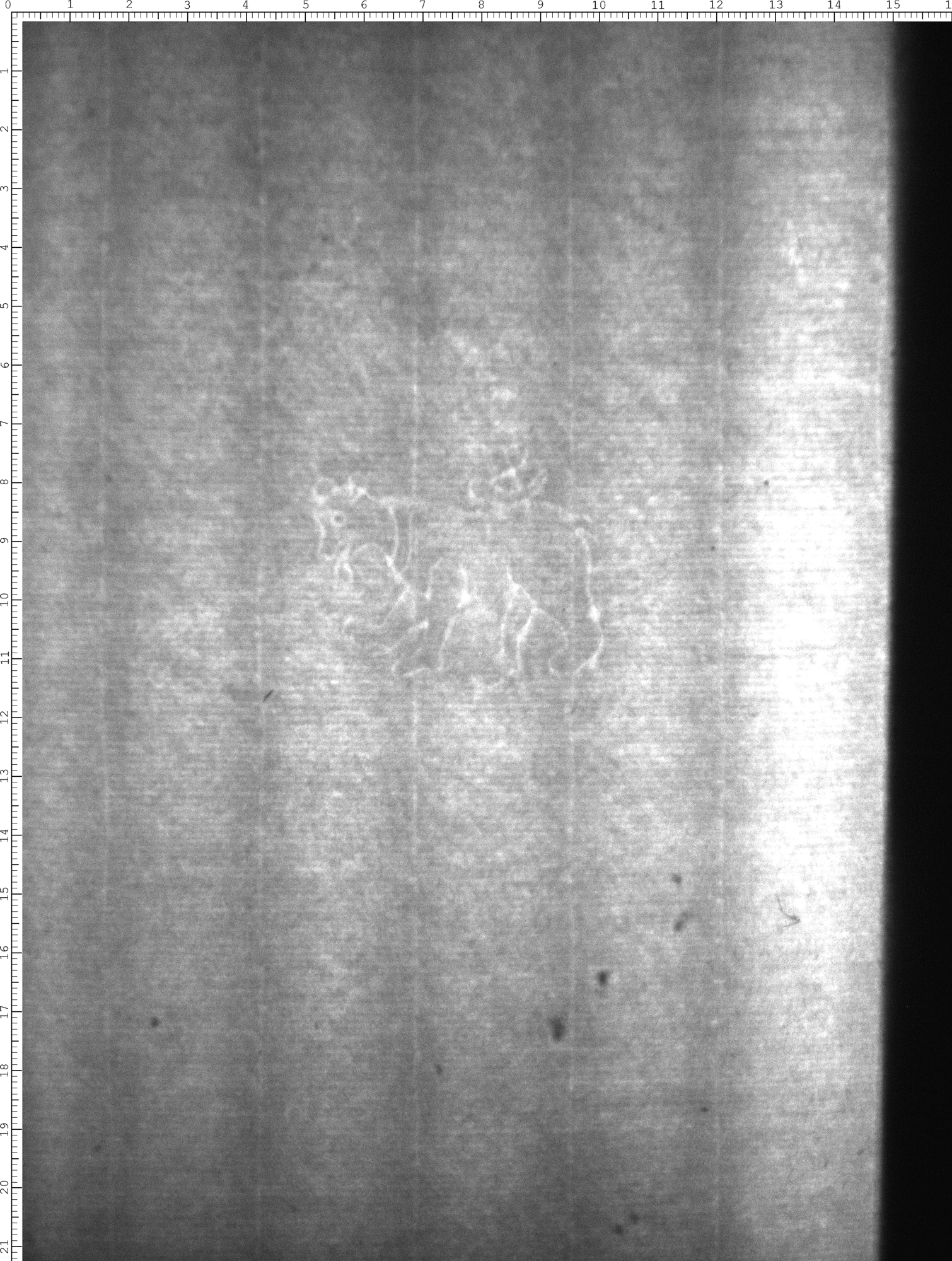 Watermark