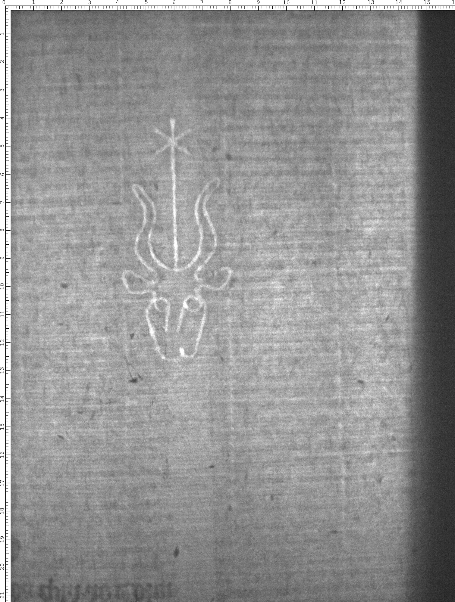 Watermark