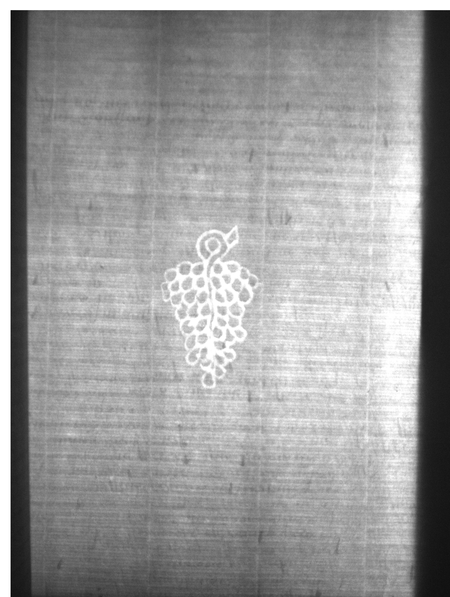 Watermark
