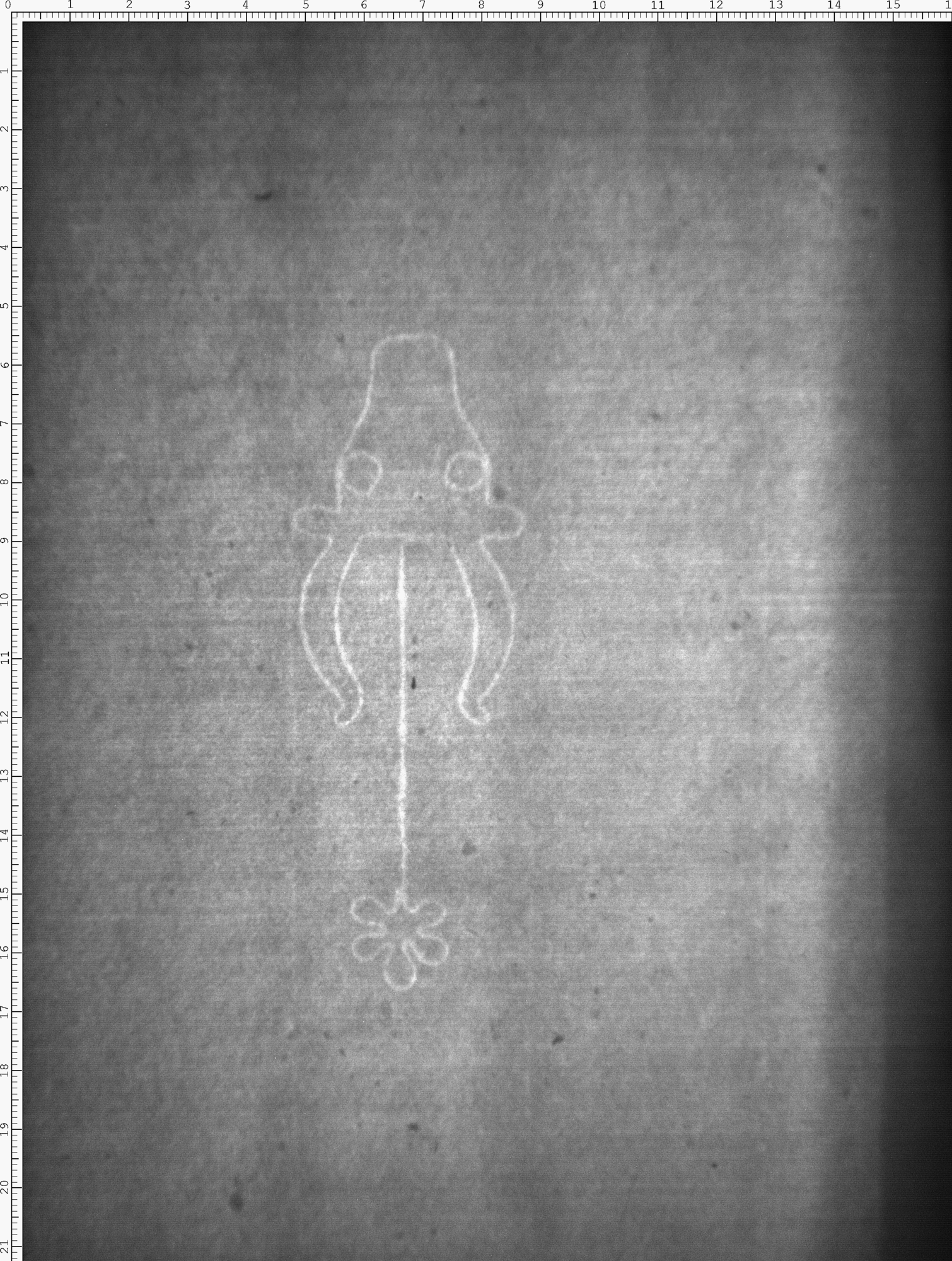Watermark