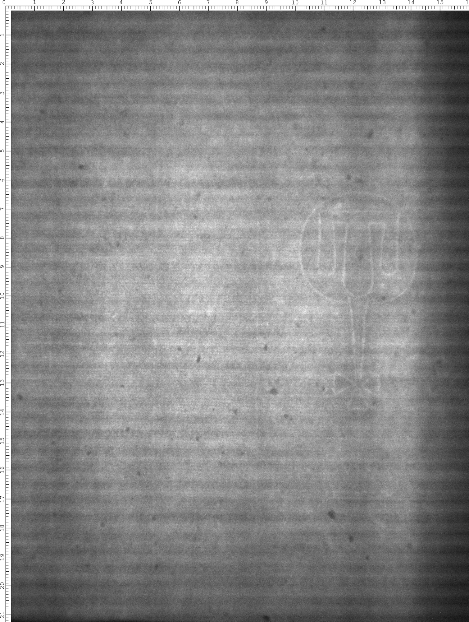 Watermark
