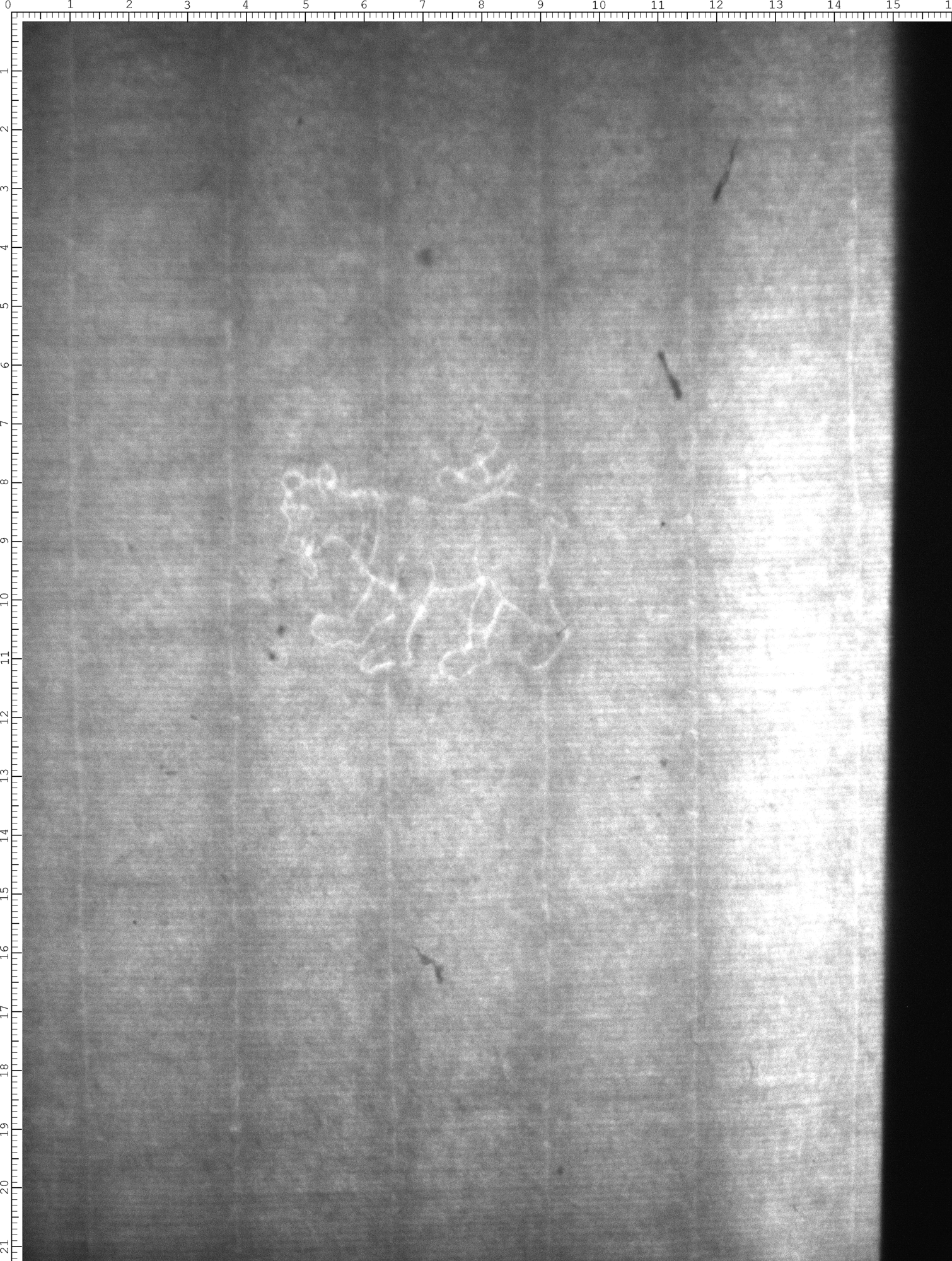 Watermark