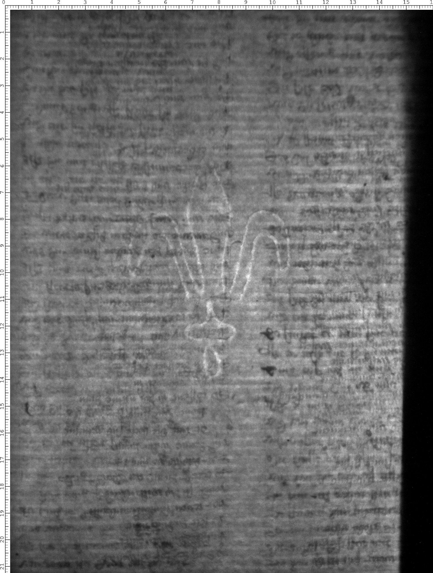 Watermark