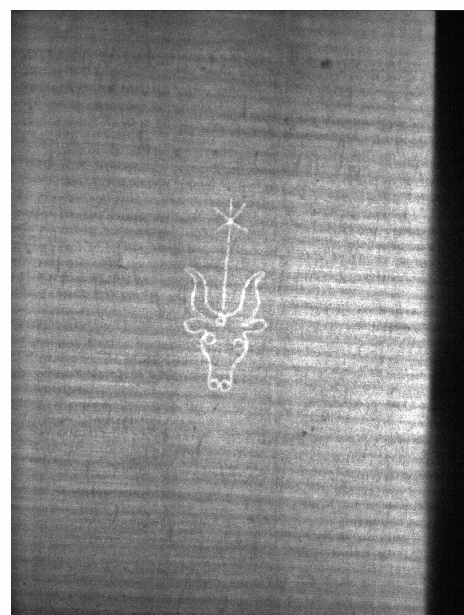 Watermark